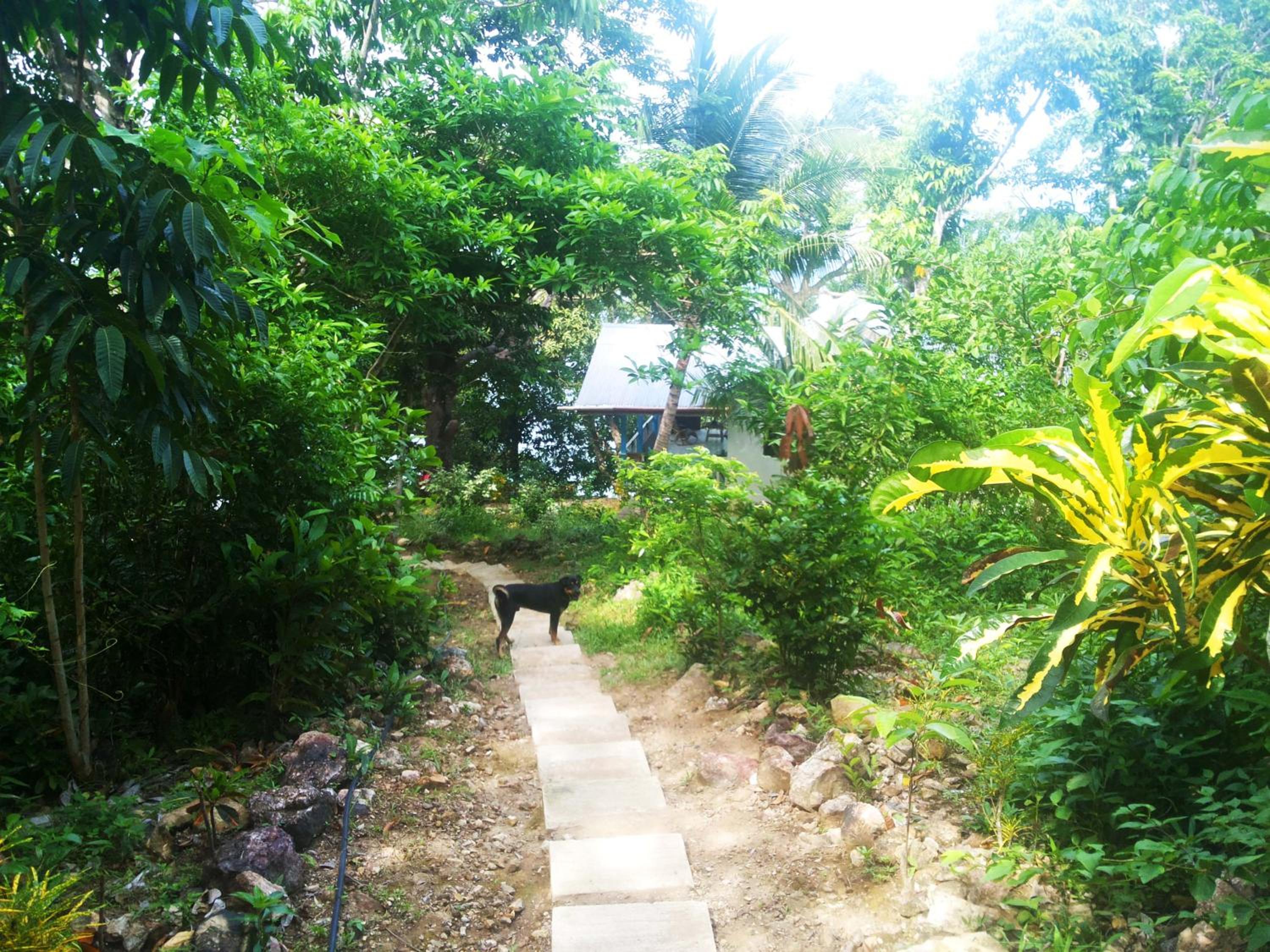 Photo 12