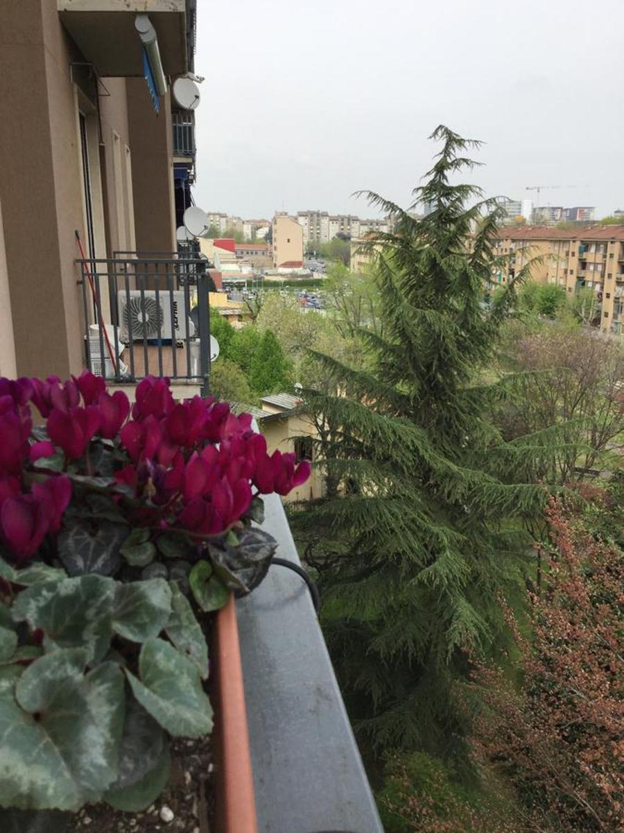 Niguarda Bicocca Flat
