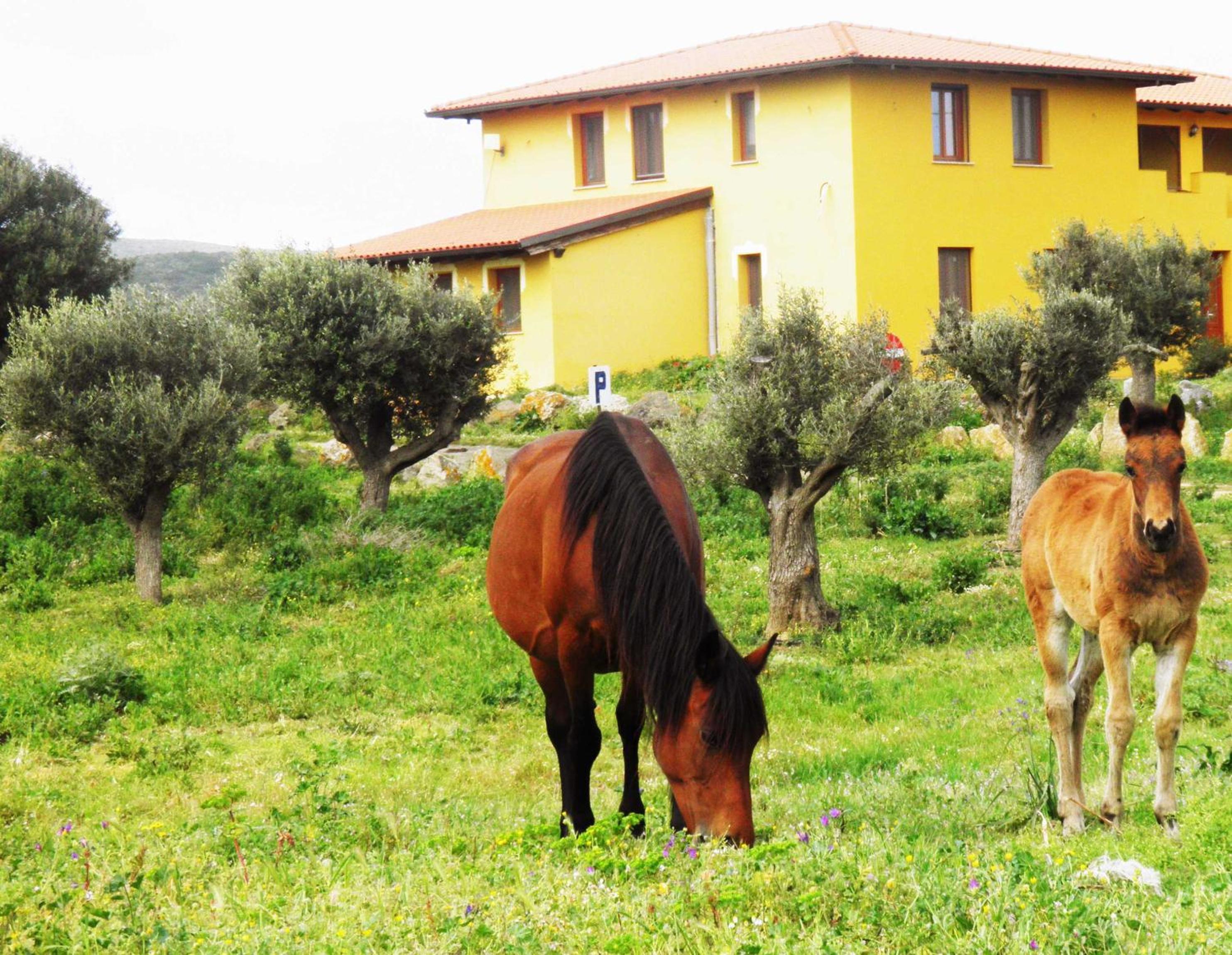 Casa Casti