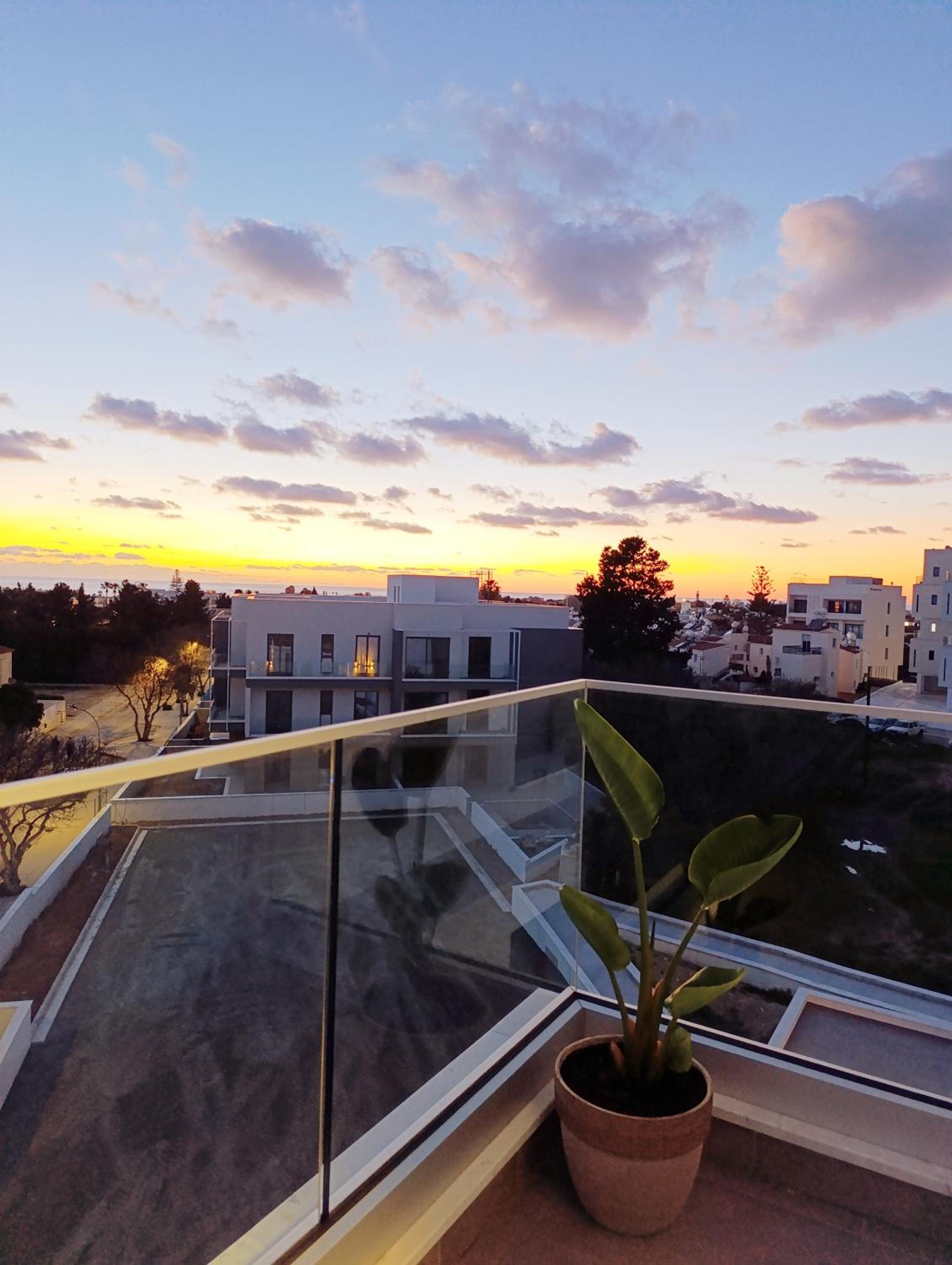 Blue Oasis Apartment