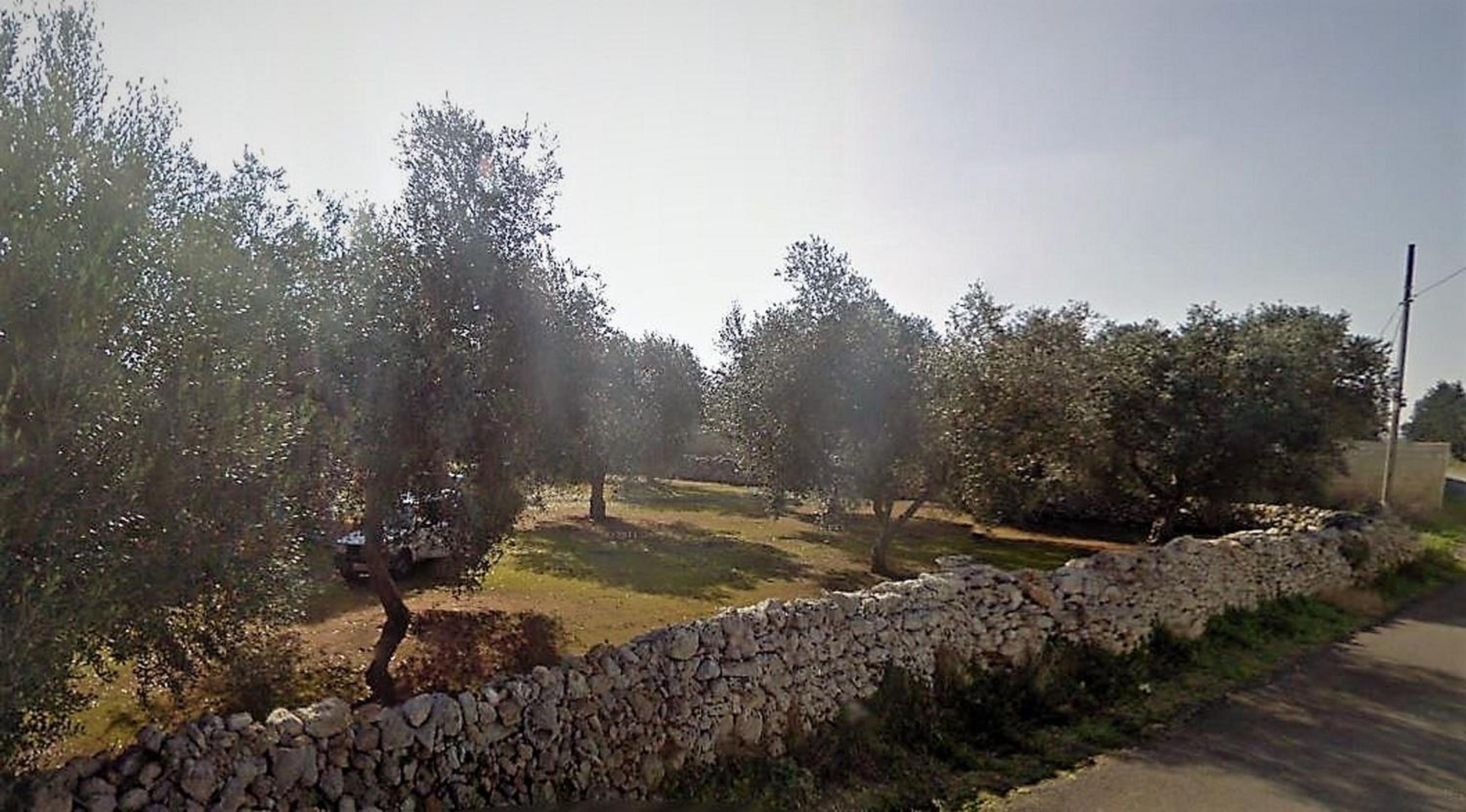 Briciole di Gusto