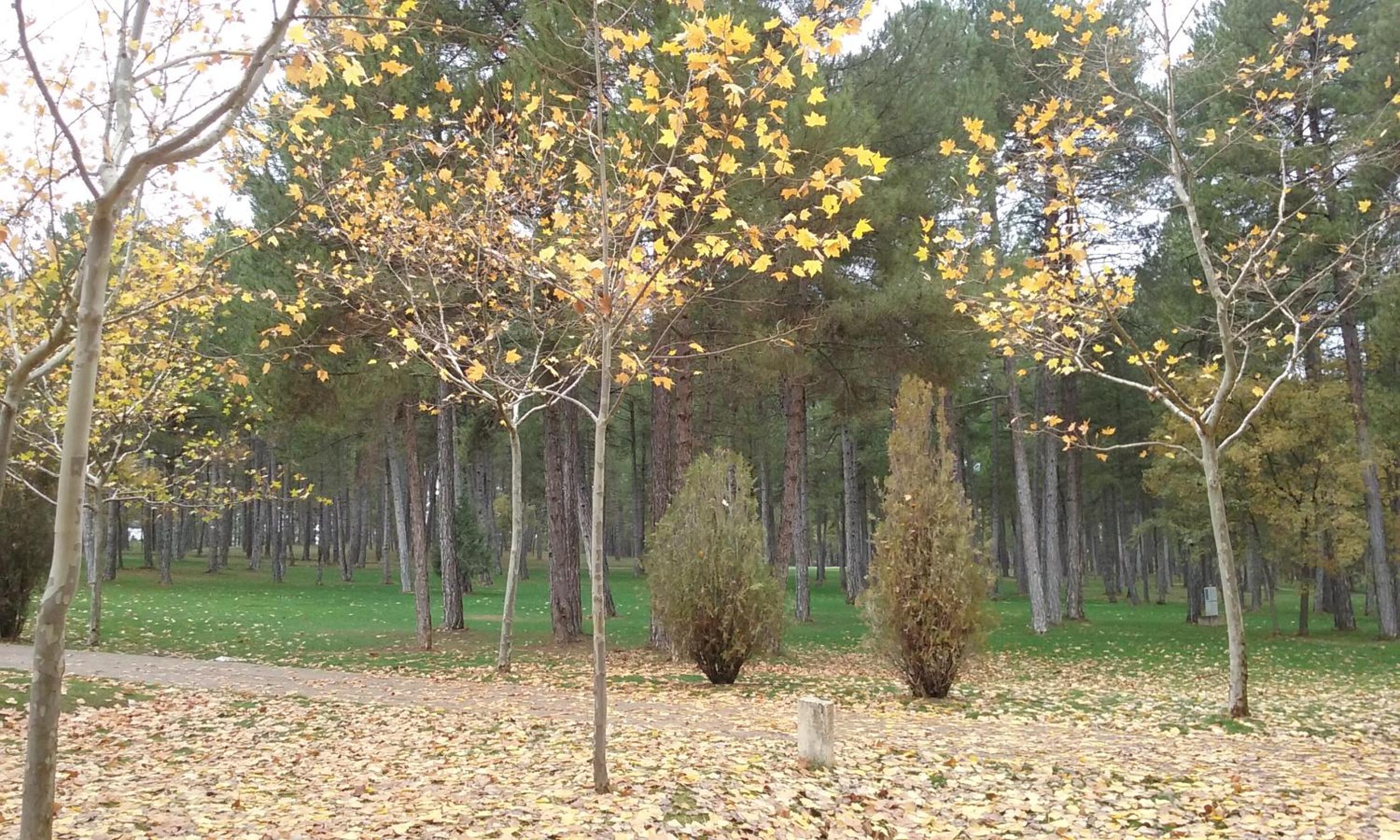 Photo 19
