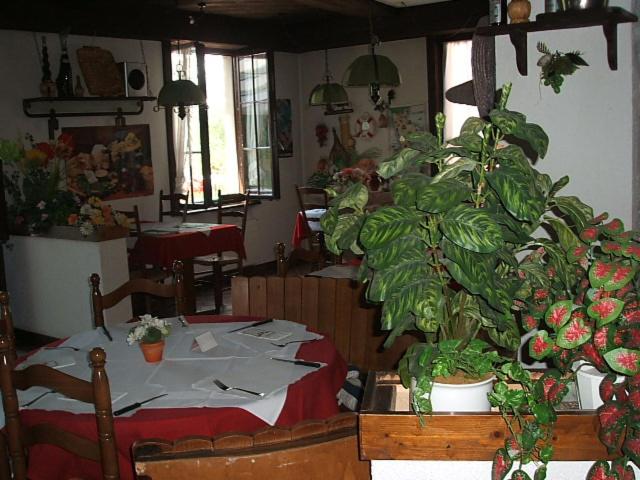 Guest house Pizzeria Pazza da Gianni