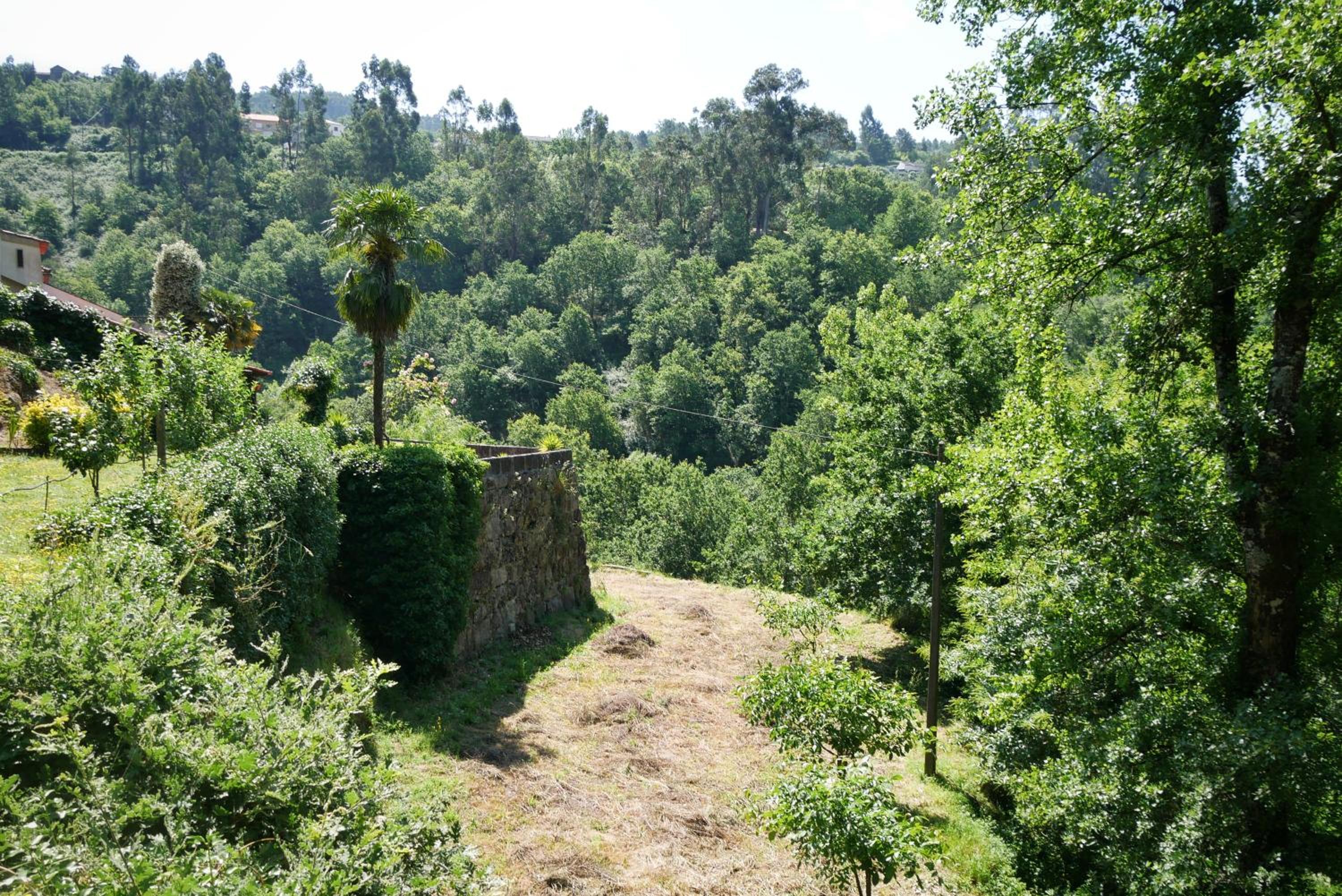 Quinta de Fornelo - Família Campos