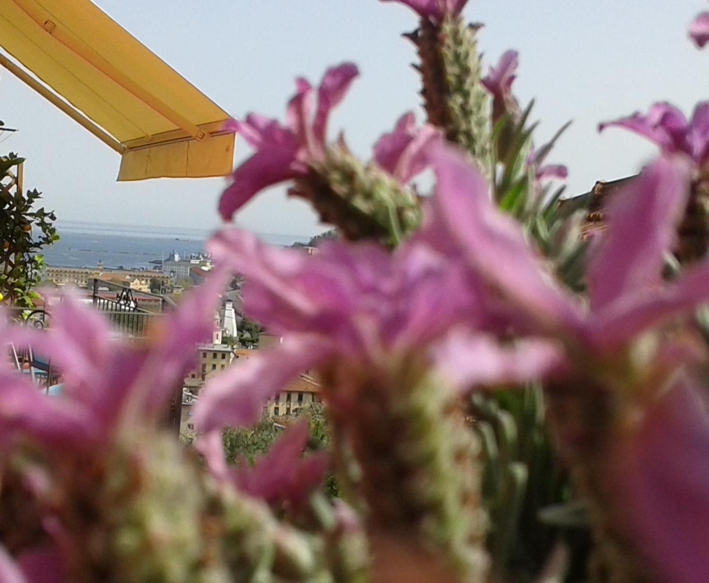 Dreams Guest House