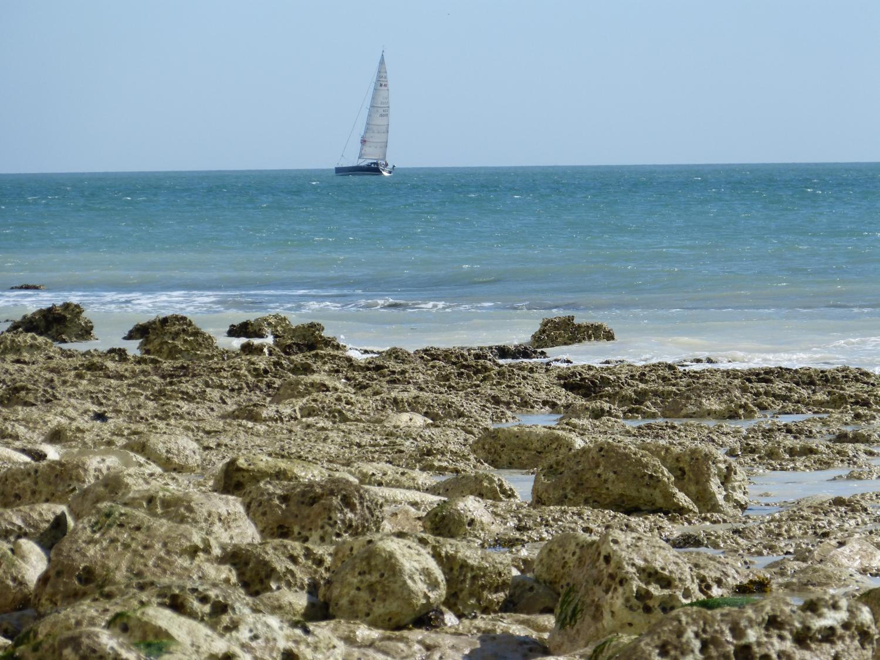 Photo 45