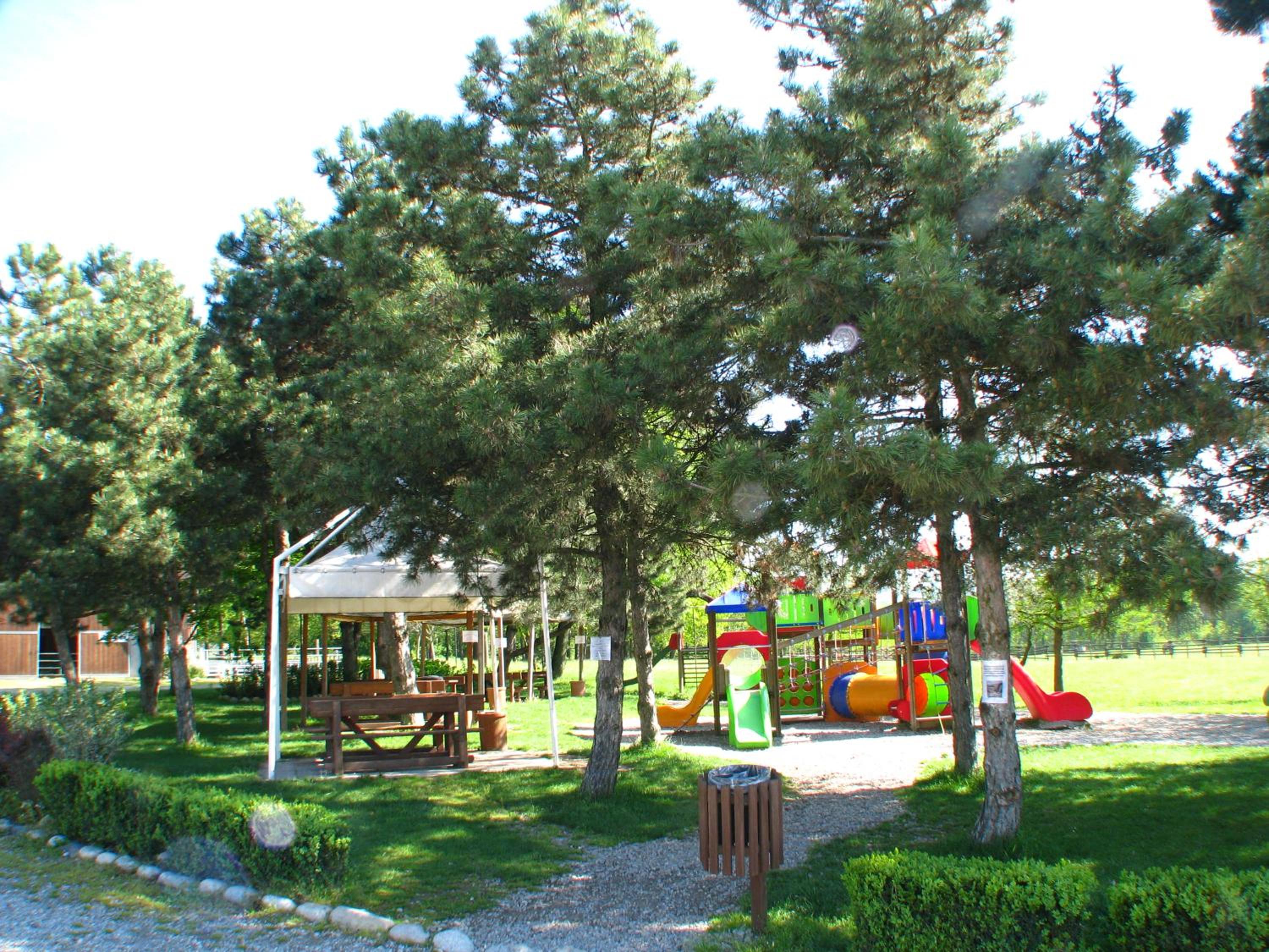 Photo 46