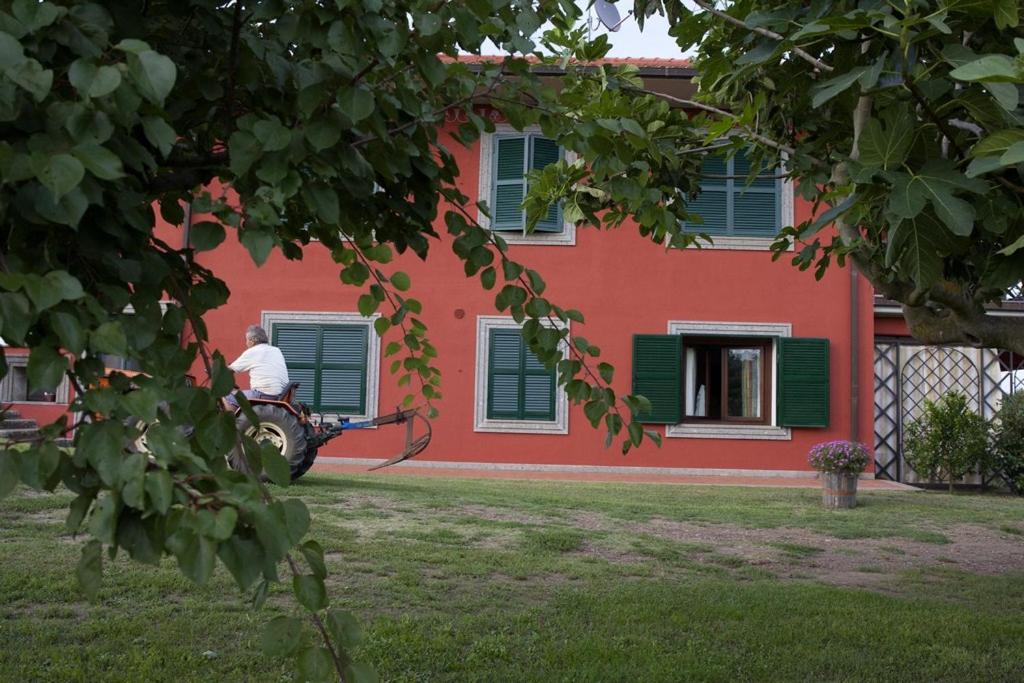 Photo 42