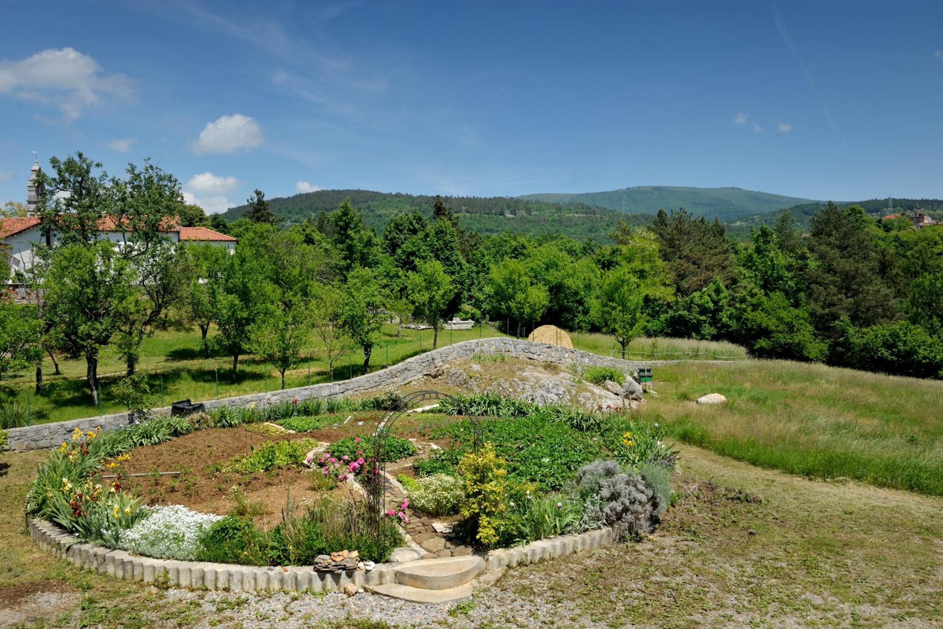 Tourist Farm Dujceva Domacija view 5