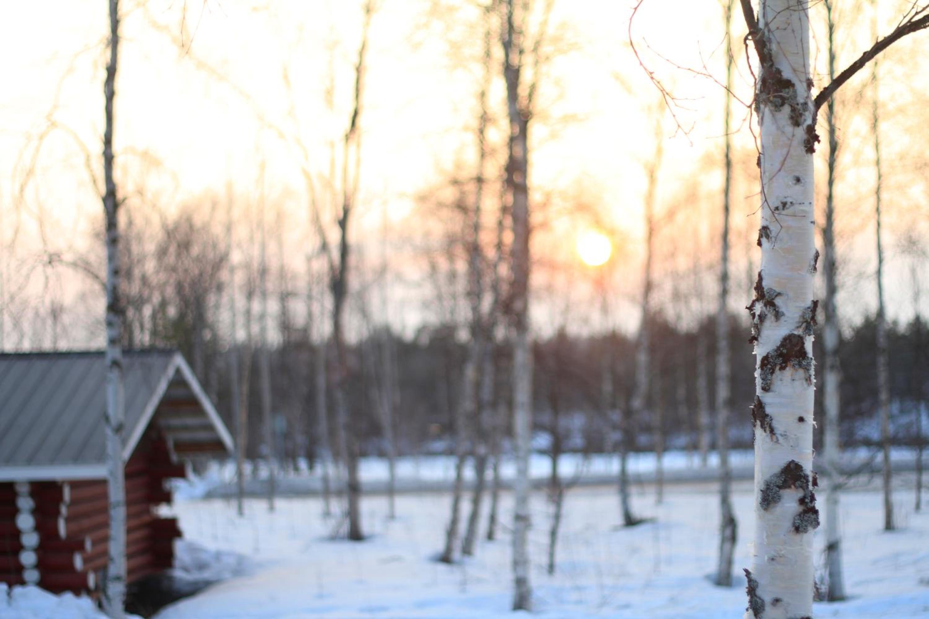 Ivalo River Camping