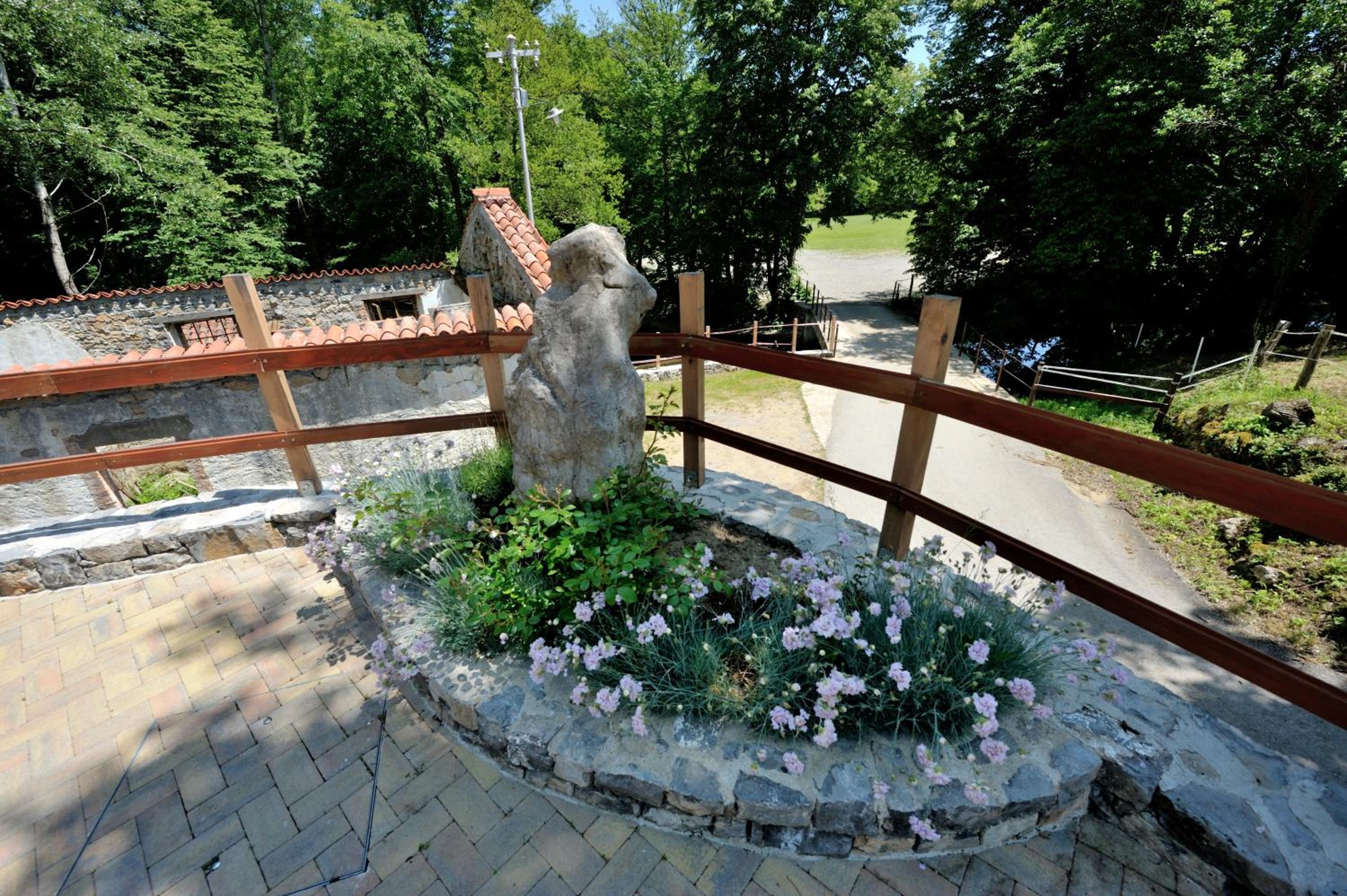 Photo 35