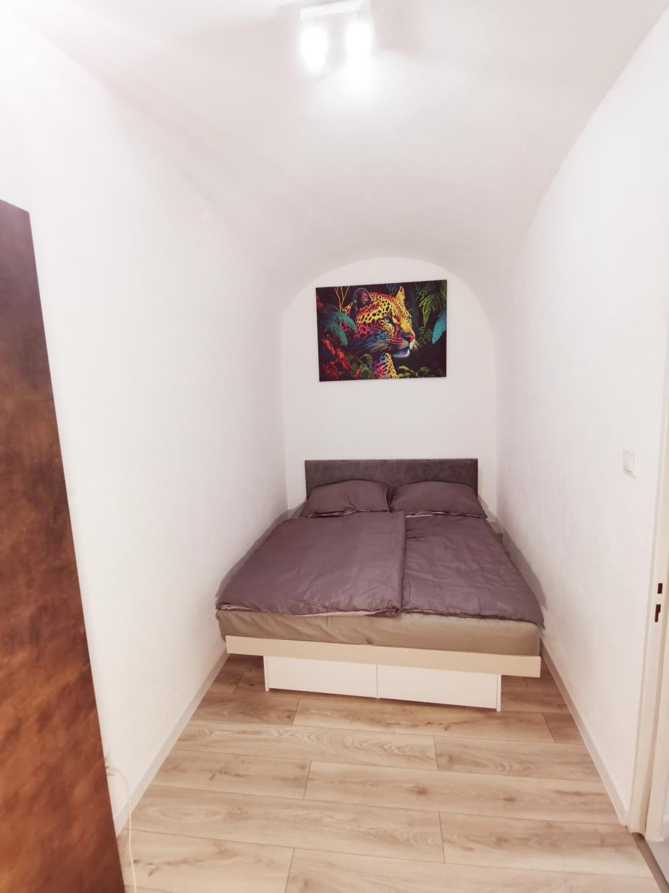 Alma Apartment DOWNTOWN