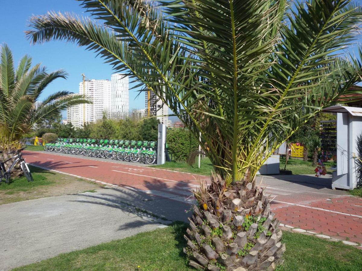 Photo 49