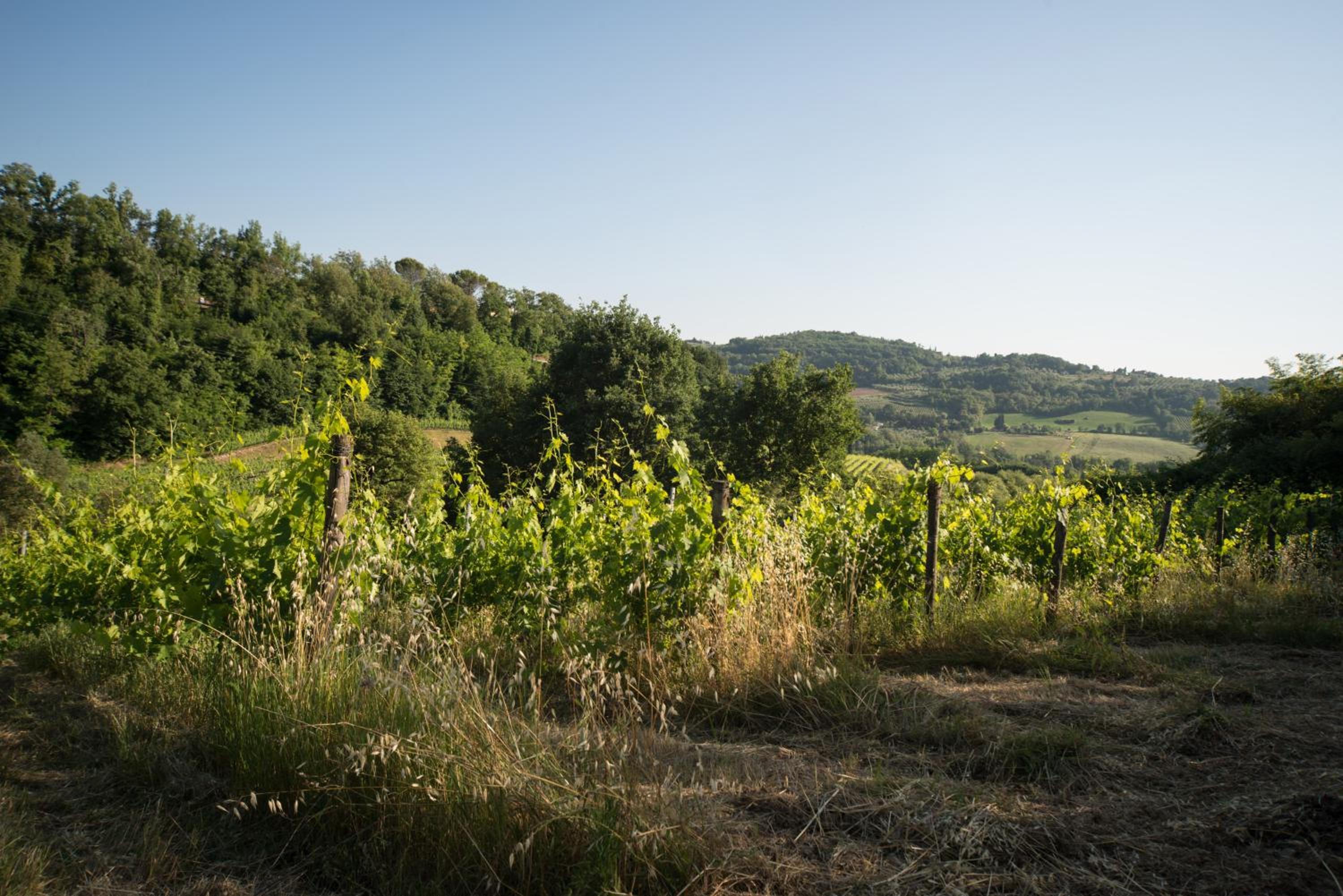 B&B Le Dimore di Mezza Costa - Home Restaurant & Cooking Classes