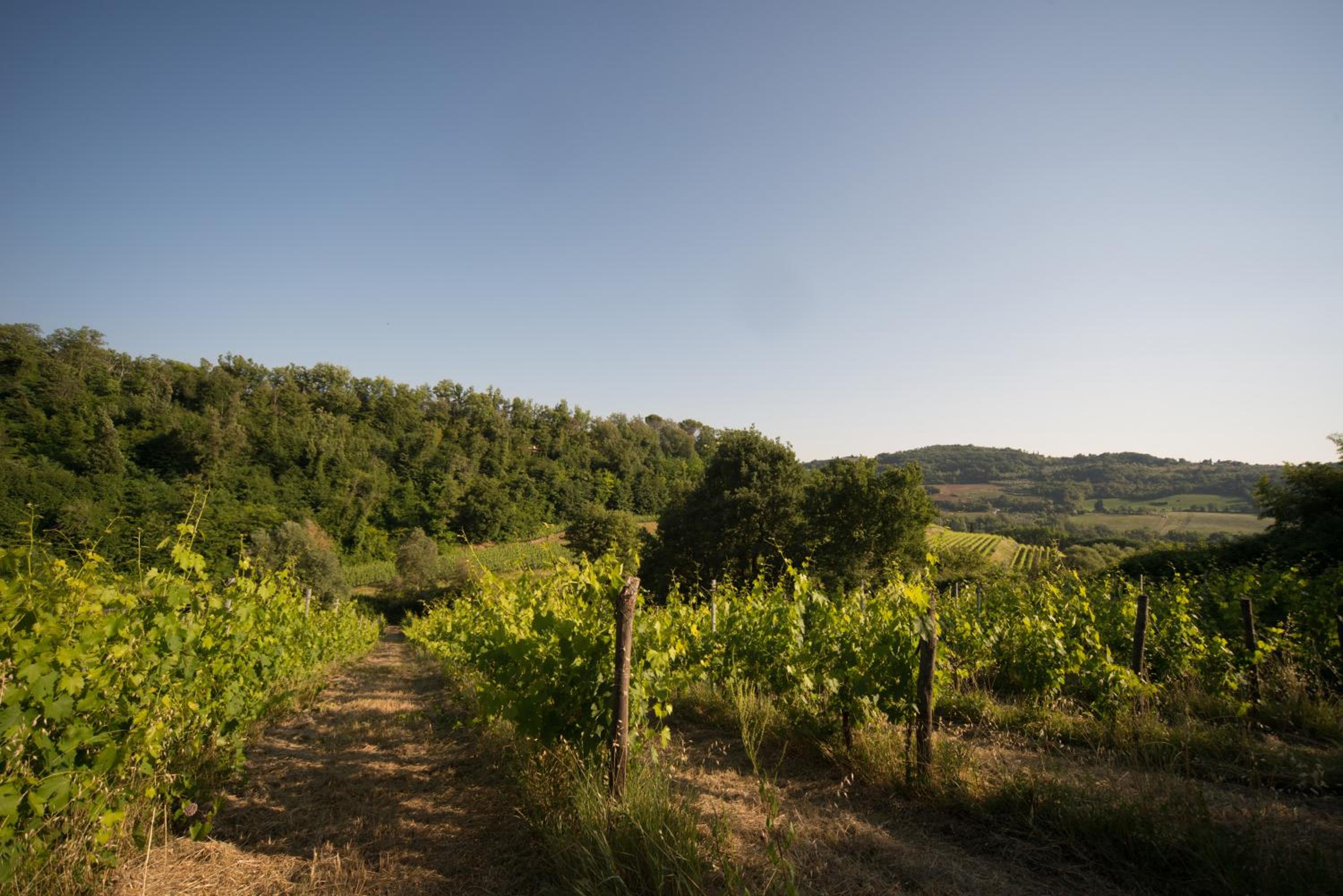 B&B Le Dimore di Mezza Costa - Home Restaurant & Cooking Classes
