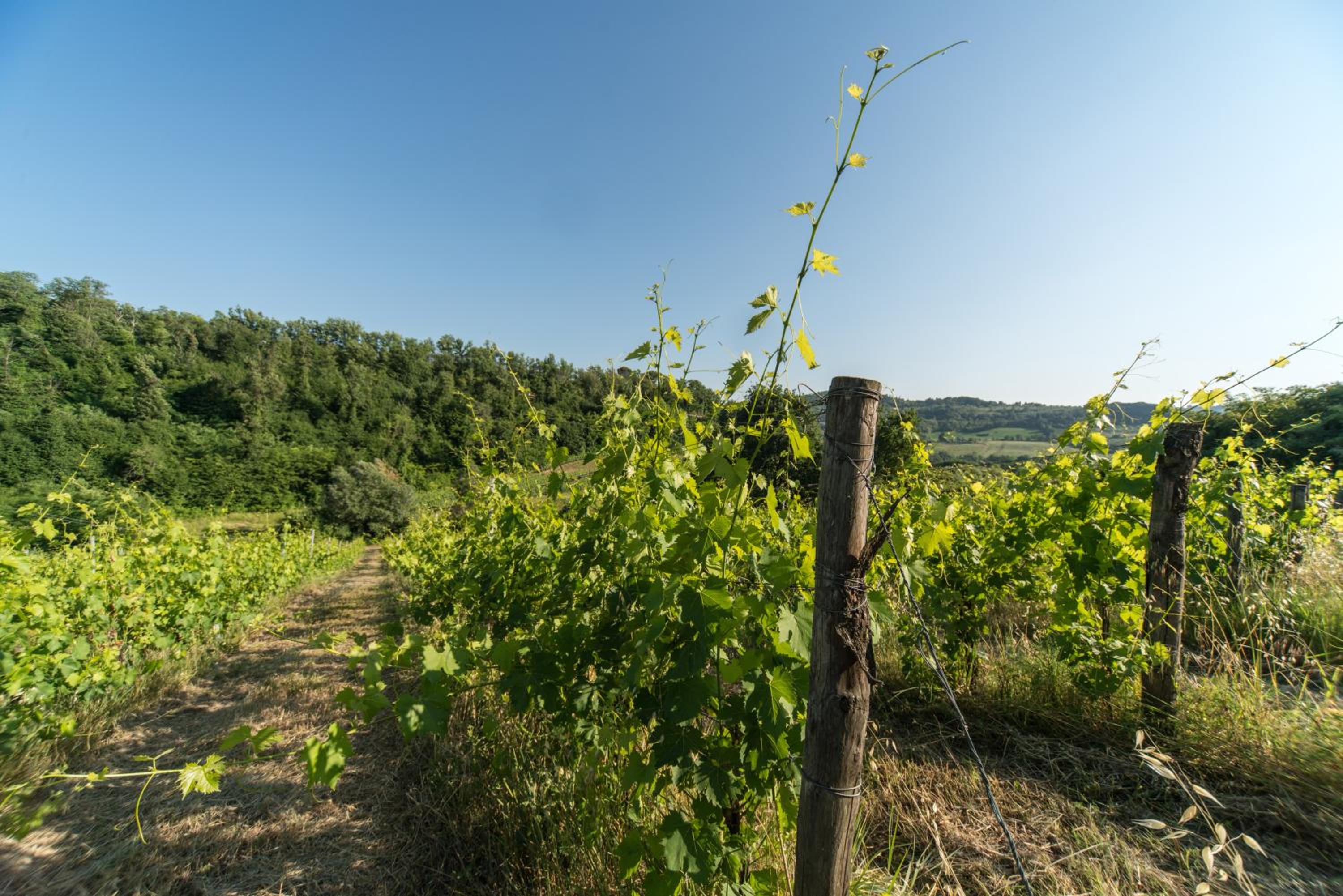 B&B Le Dimore di Mezza Costa - Home Restaurant & Cooking Classes