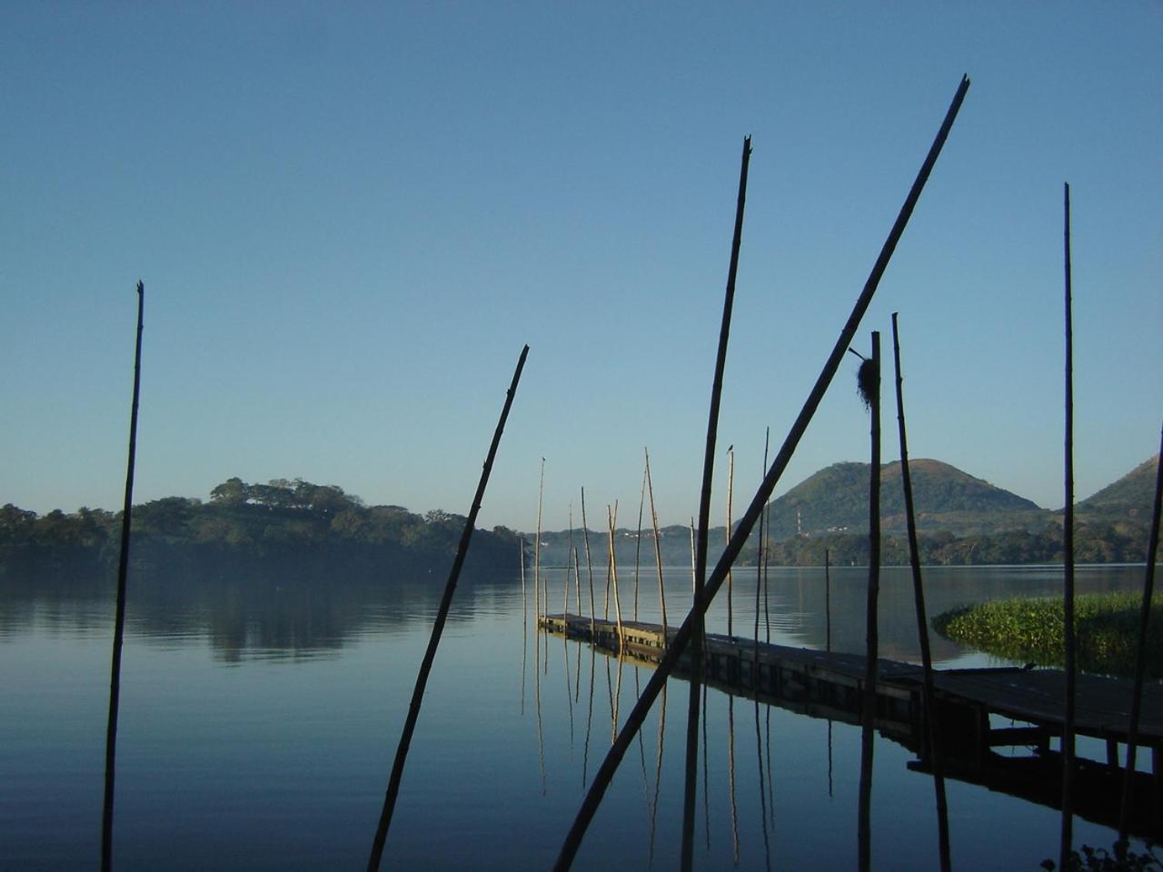 Photo 45