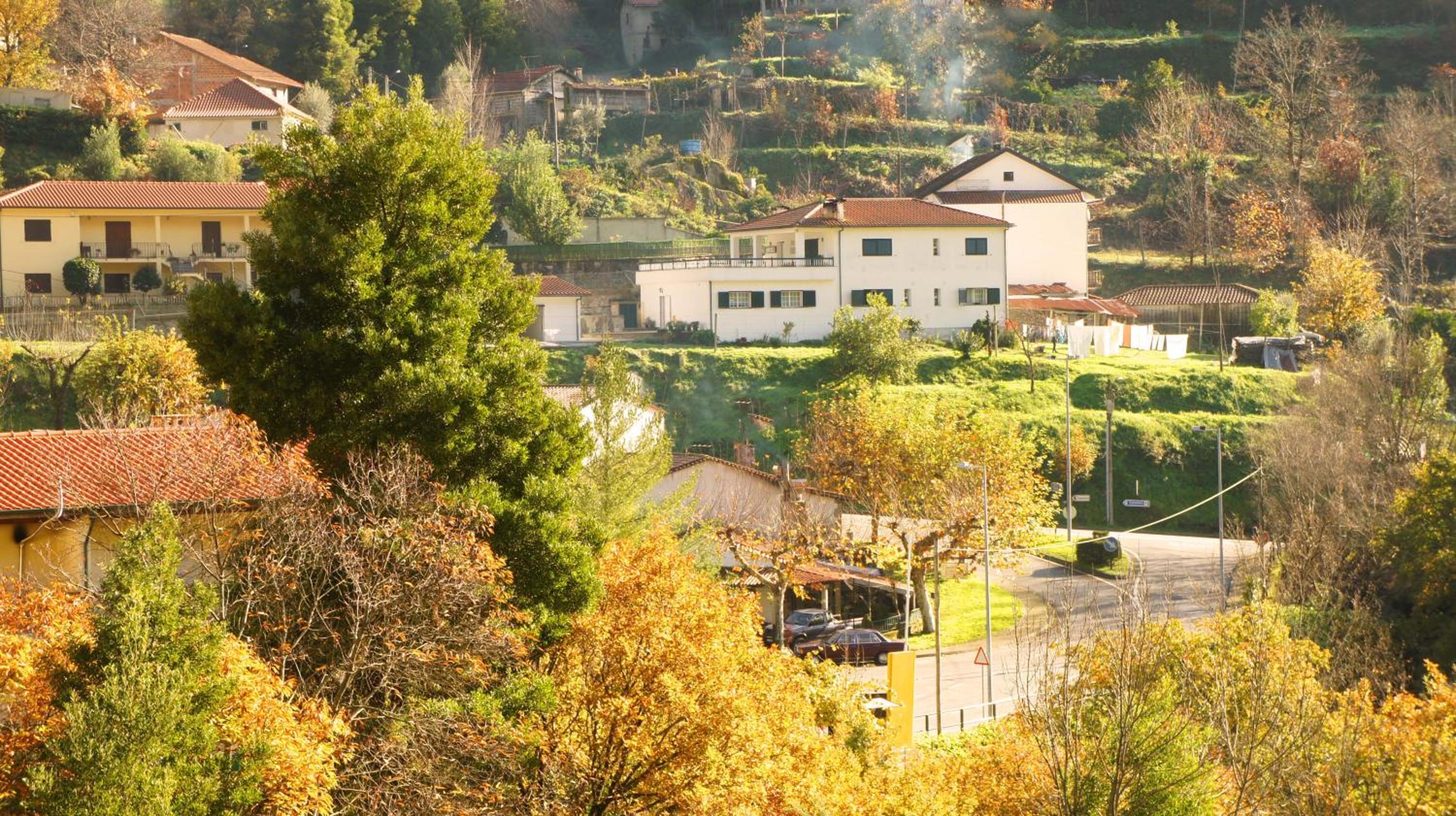 Casa Lola Principe view 2
