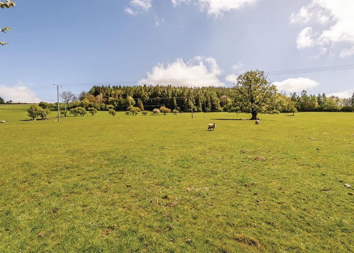 Hillcroft Park