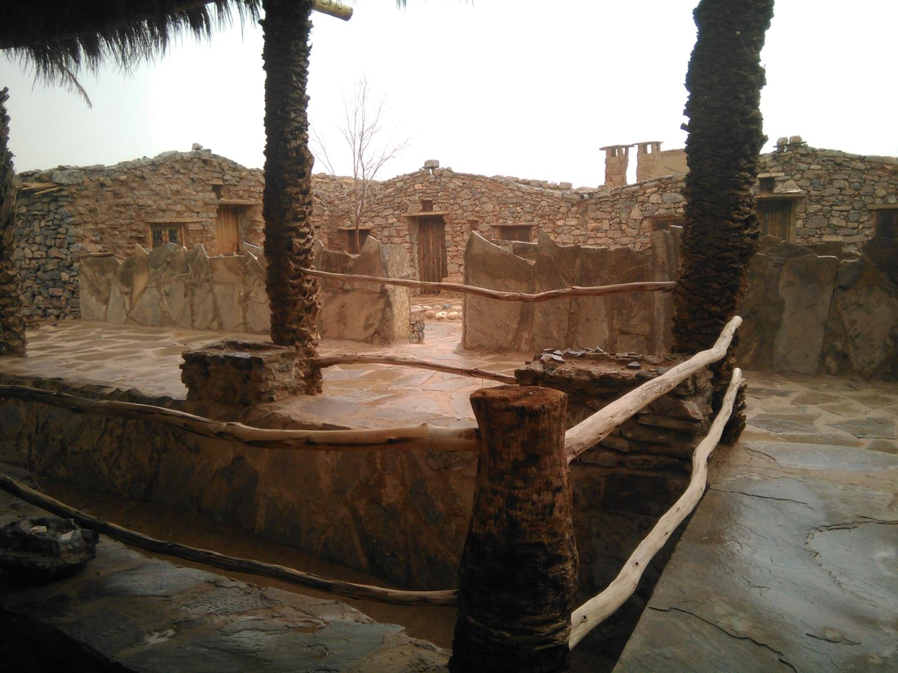 Photo 31