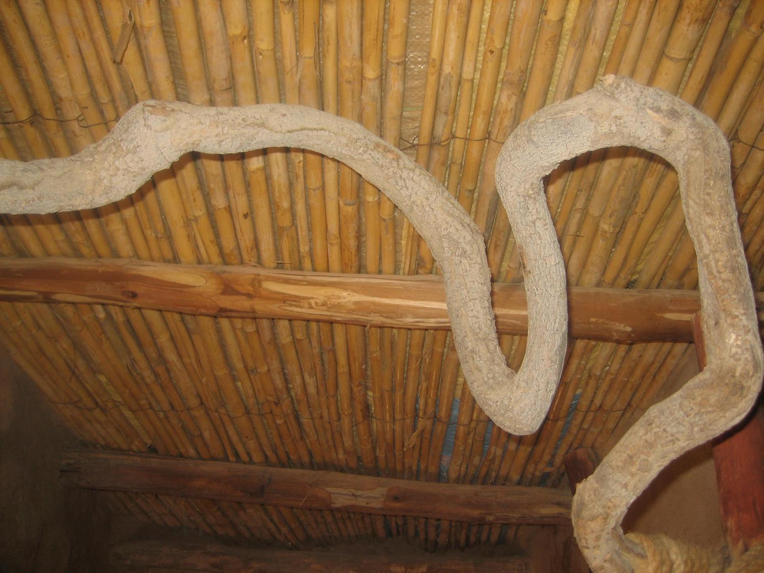 Photo 44
