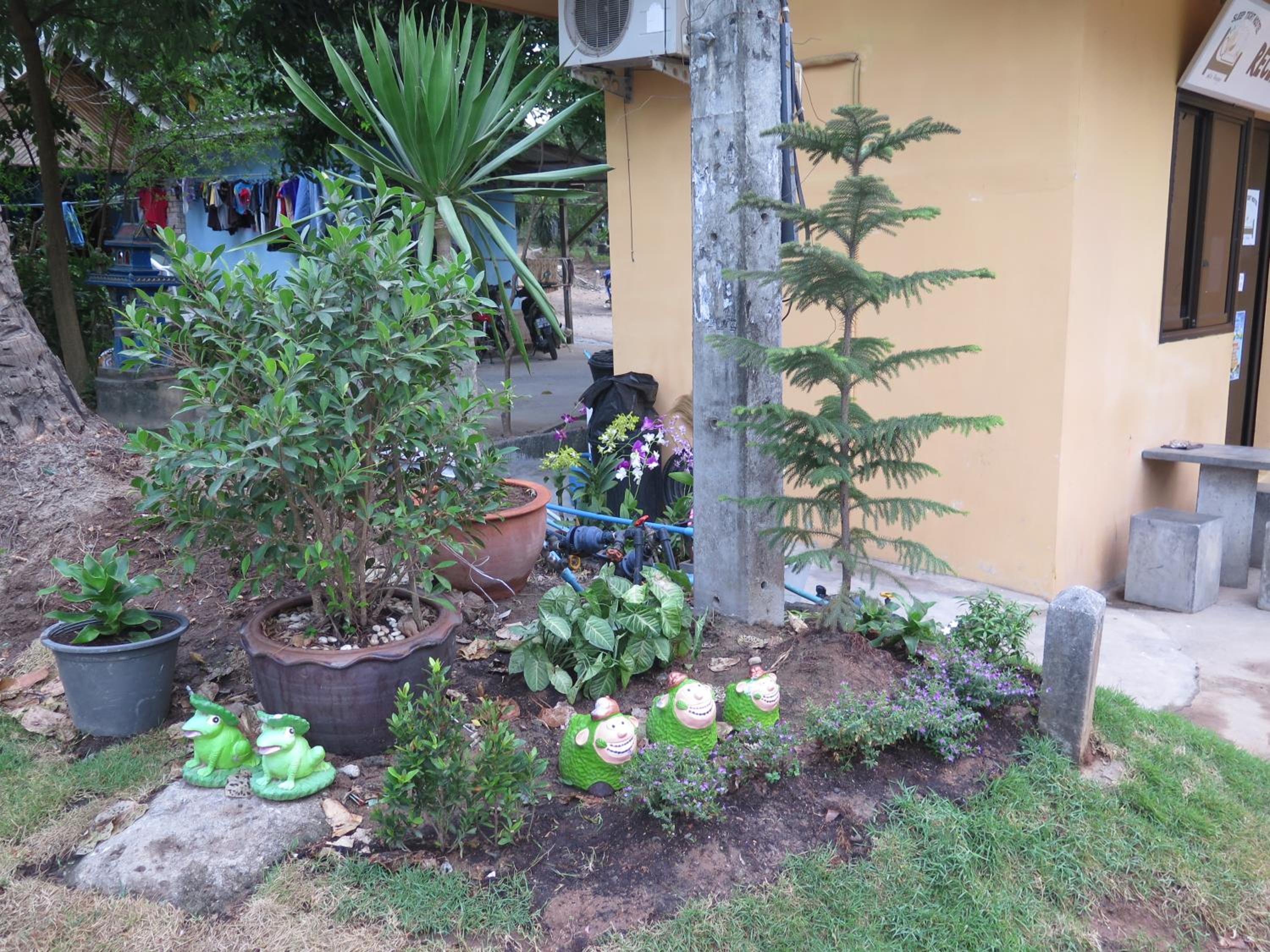 Photo 29