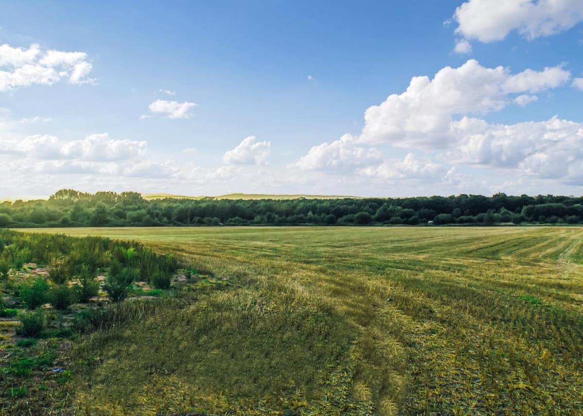 Goosedale Lodges