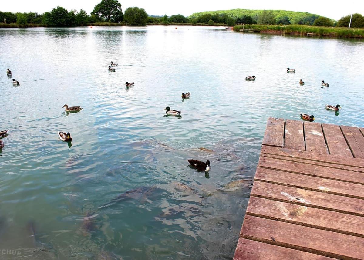 Bosworth Lakeside Lodges
