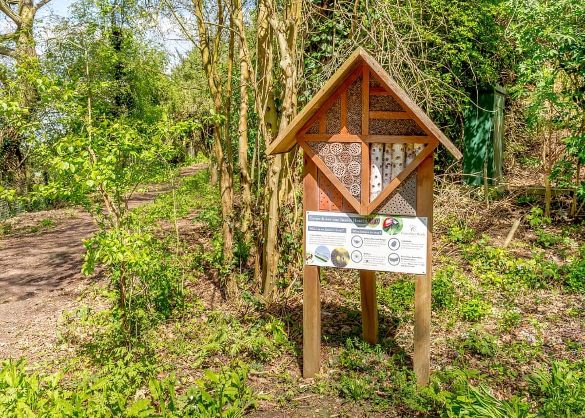 Canterbury Reach Lodge Retreat