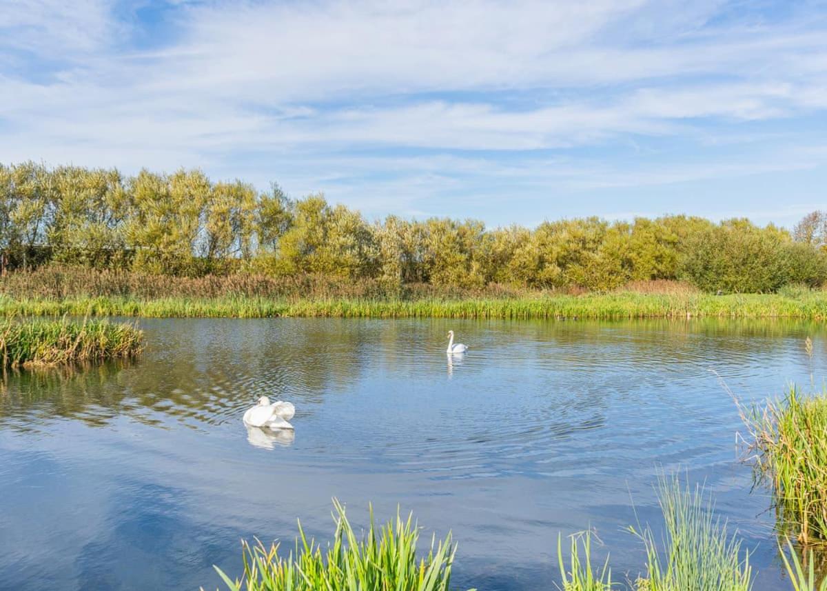 Waterside Hambleton Lakeside Lodges