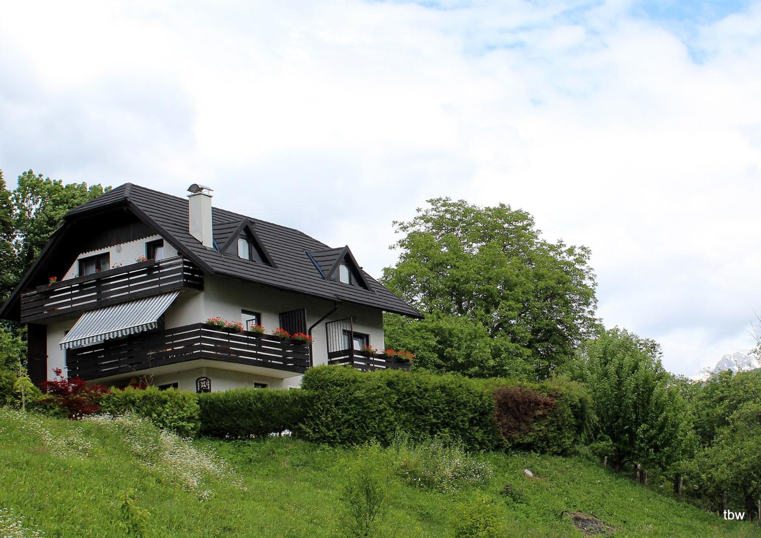Photo 6