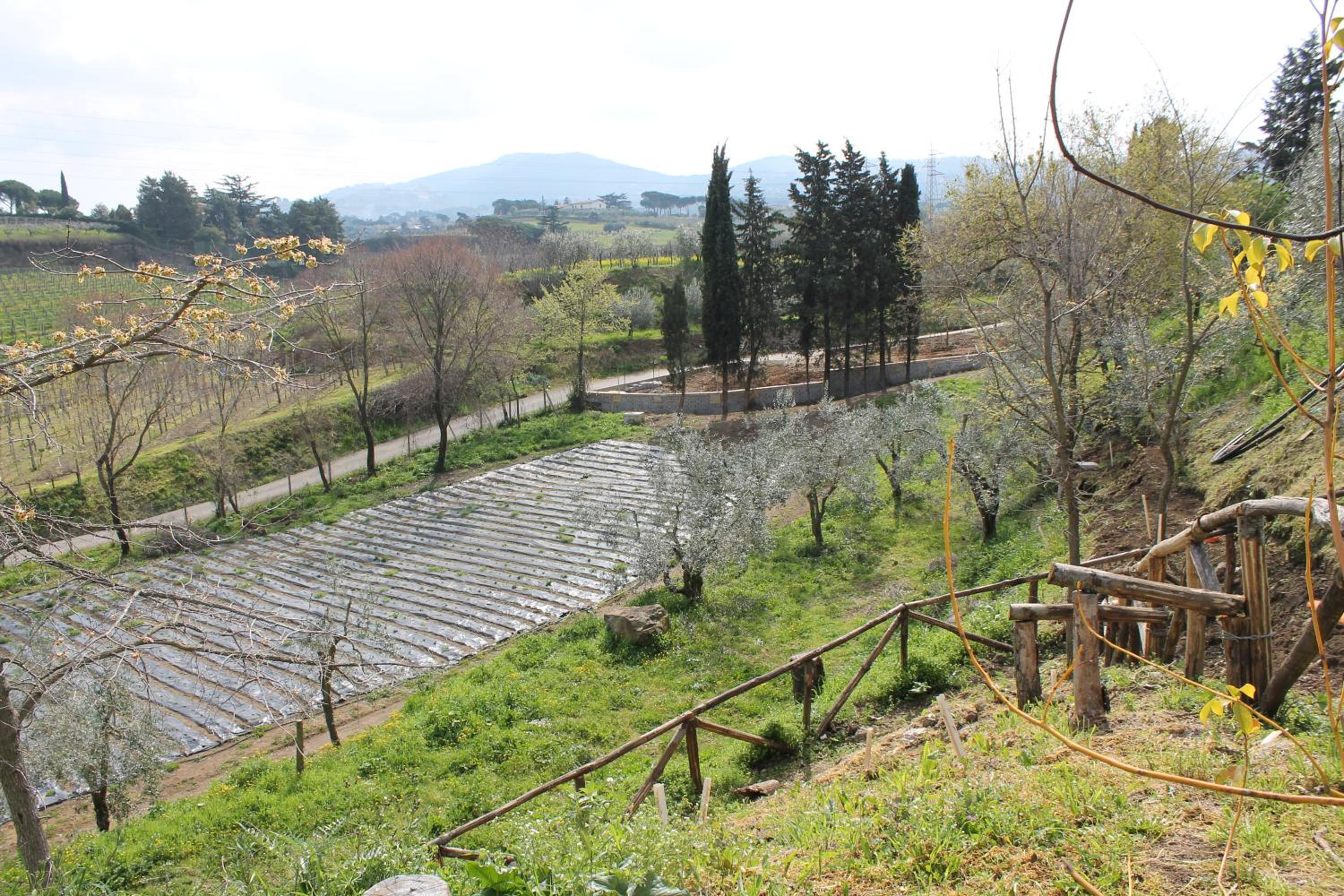 Country House Erba Regina