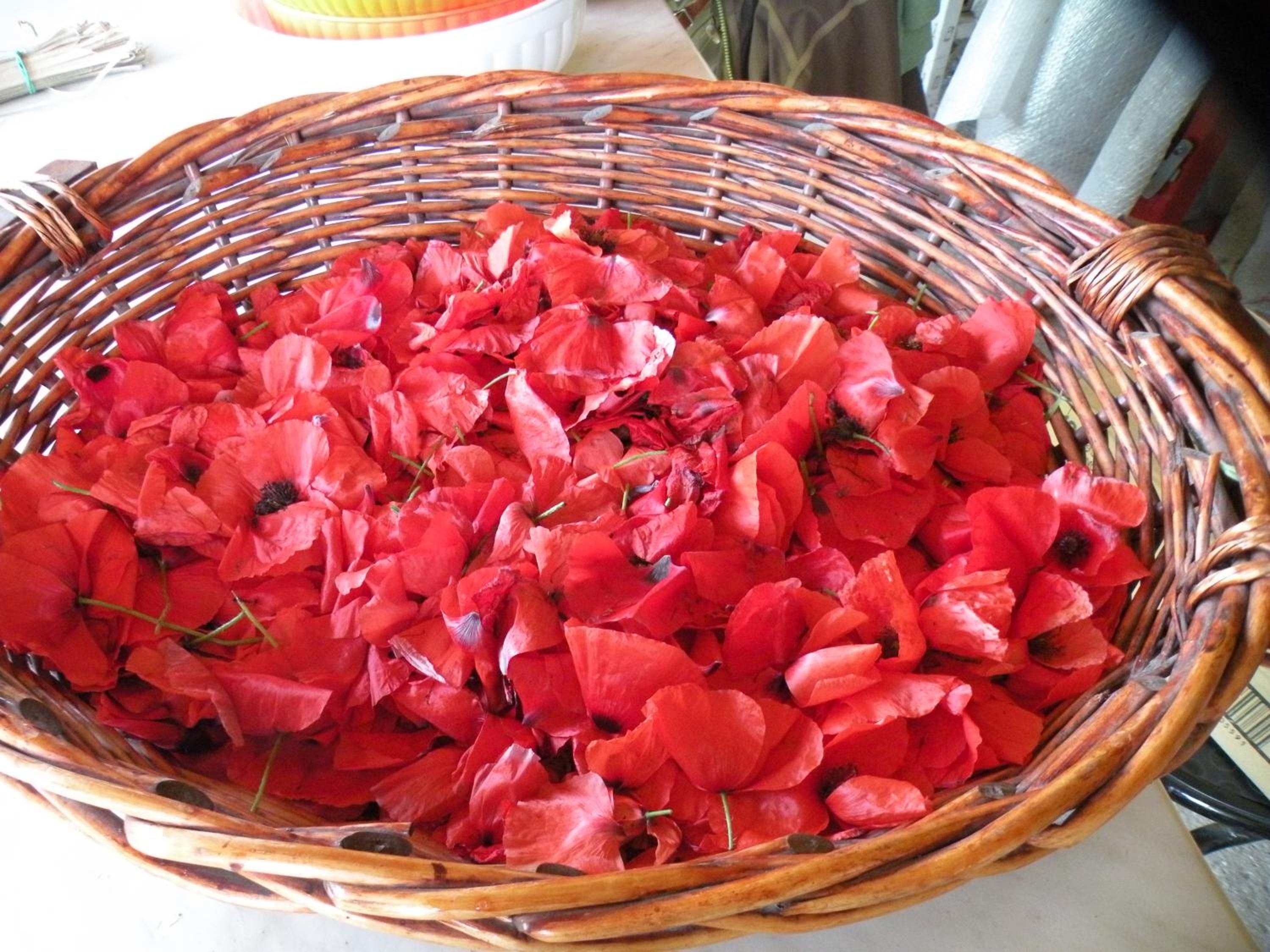Country House Erba Regina