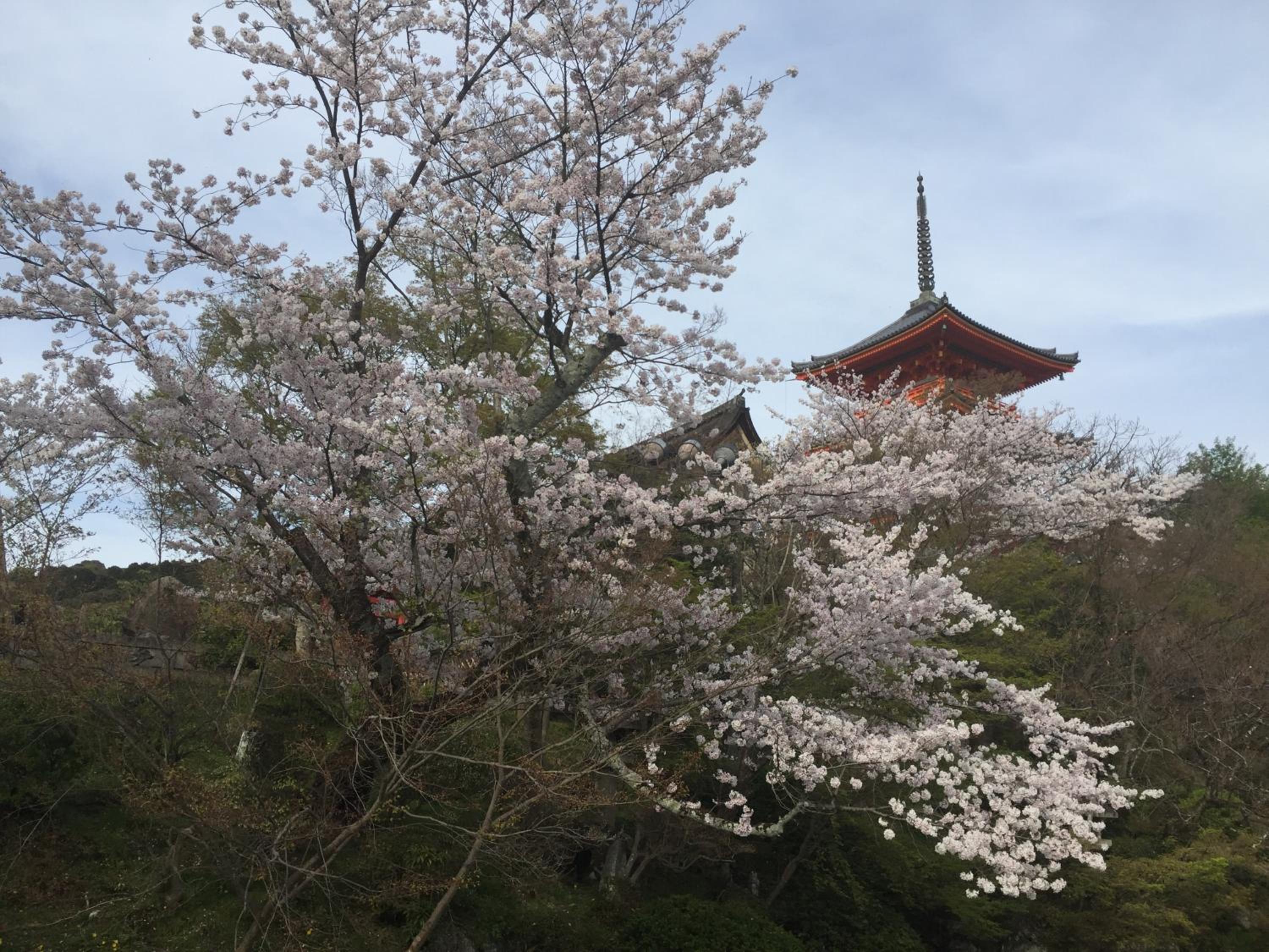 Photo 40