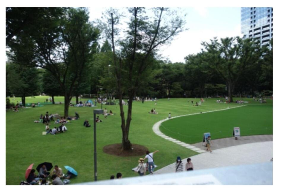 4 卧室 - 3 浴室 - 3 卫生间 - 100 平方 新装 别墅 - 新宿 4 分钟 - Sakura House