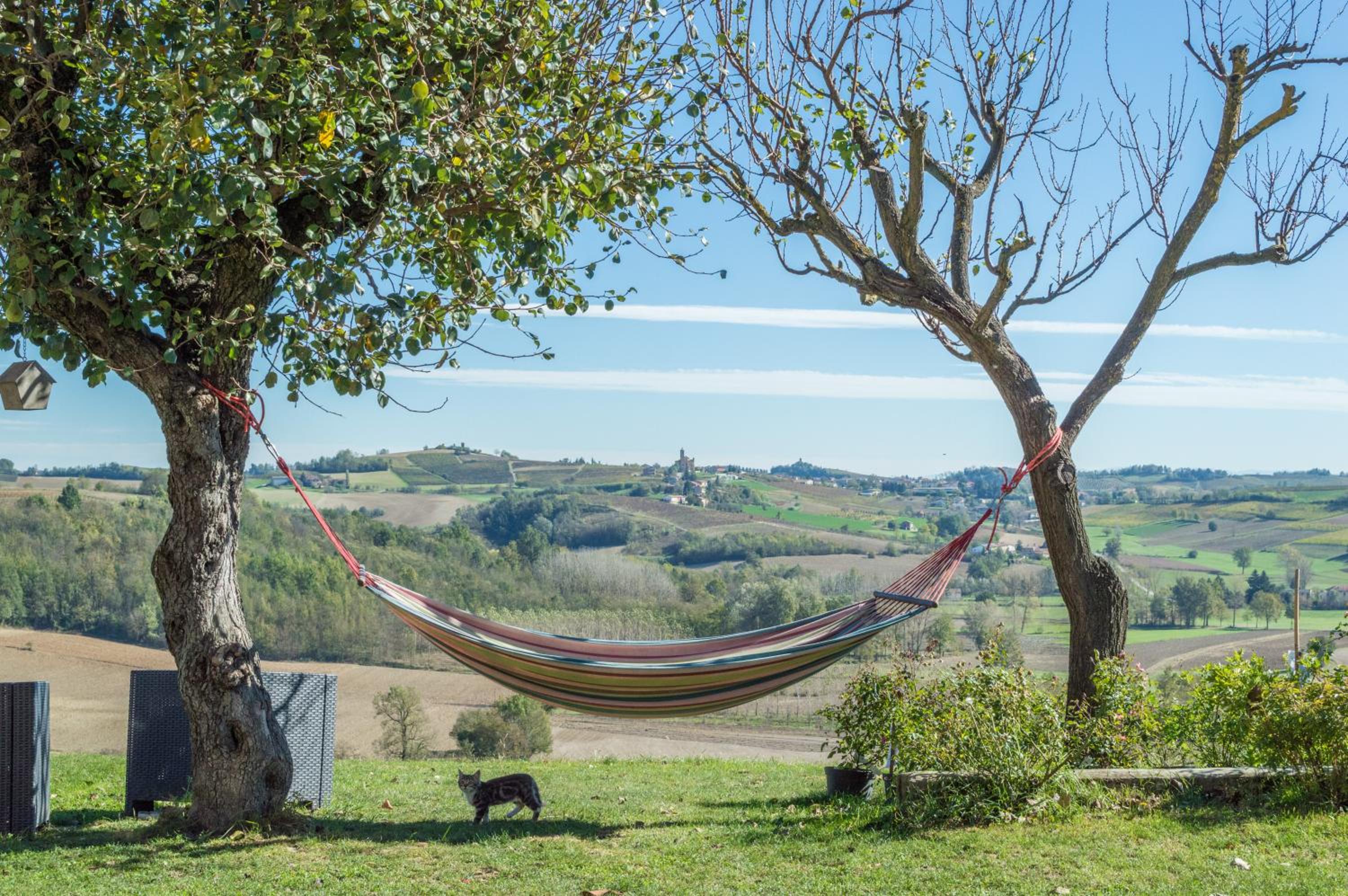 Cascina Vicentini