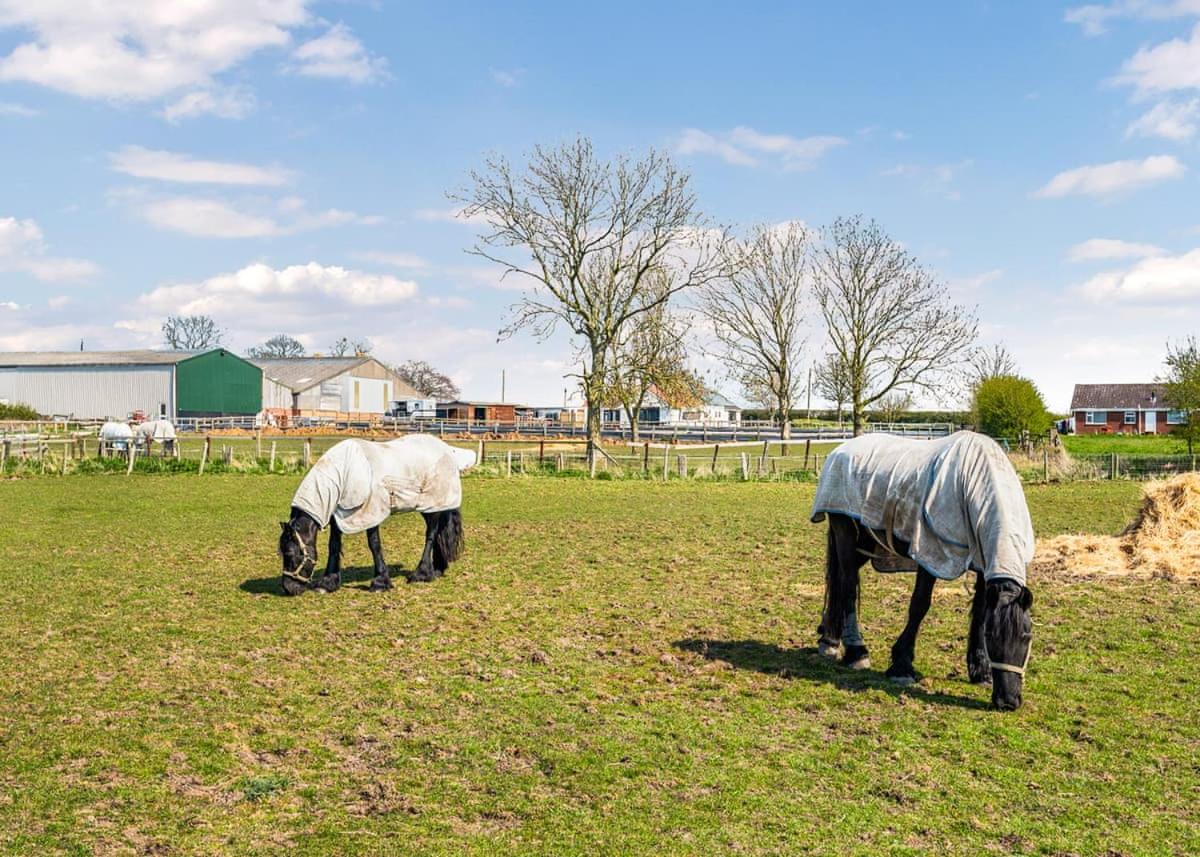 Helsey Farm Cottages