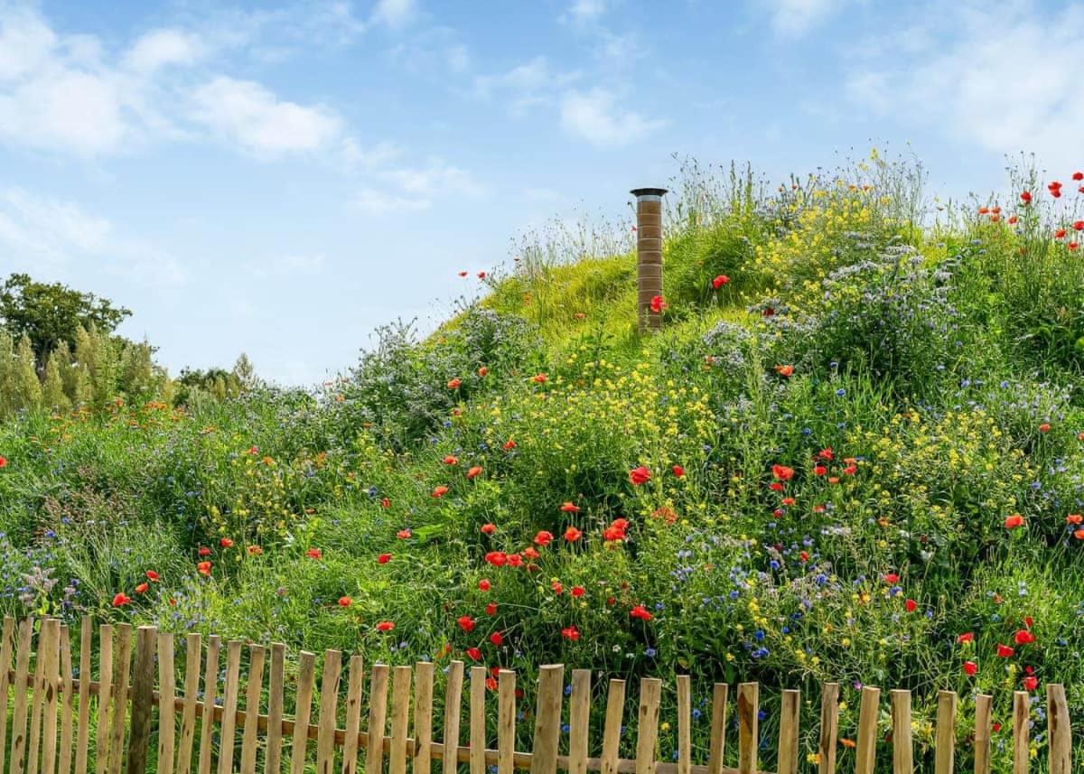 Luckington Burrows