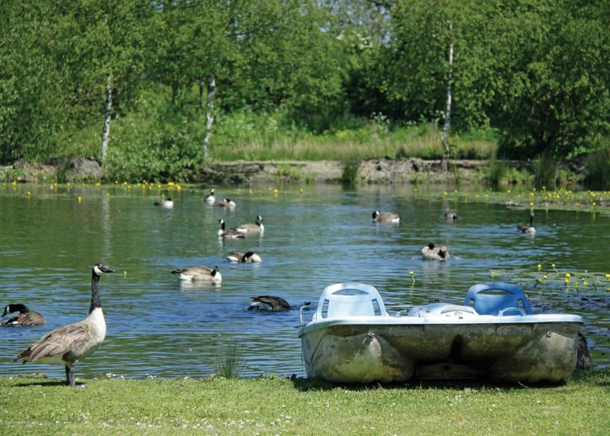 Pickering Lodges
