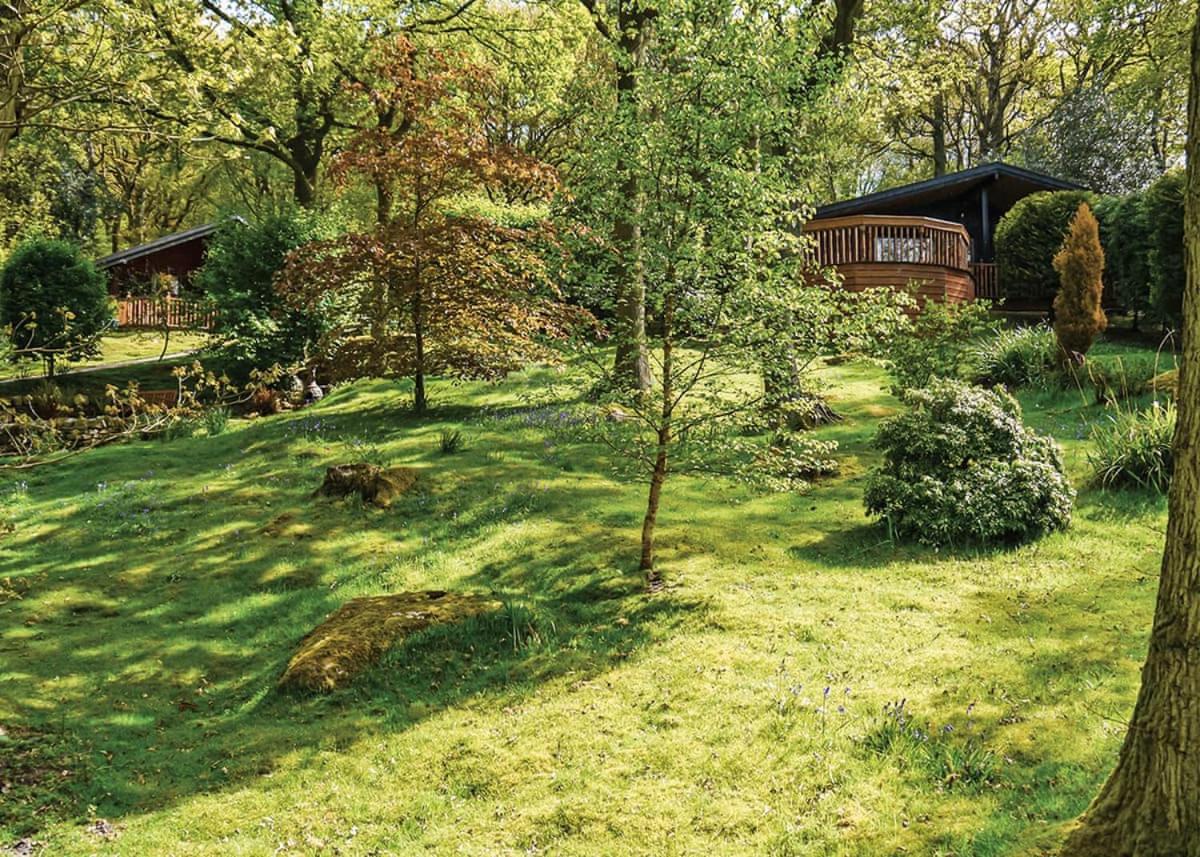 Springwood Lodges