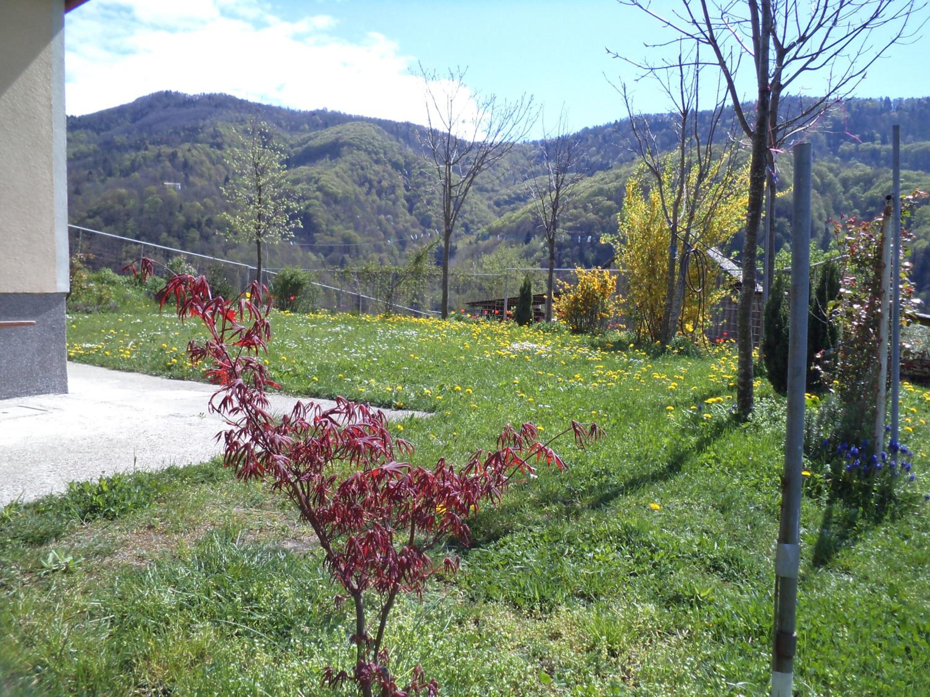 Photo 38