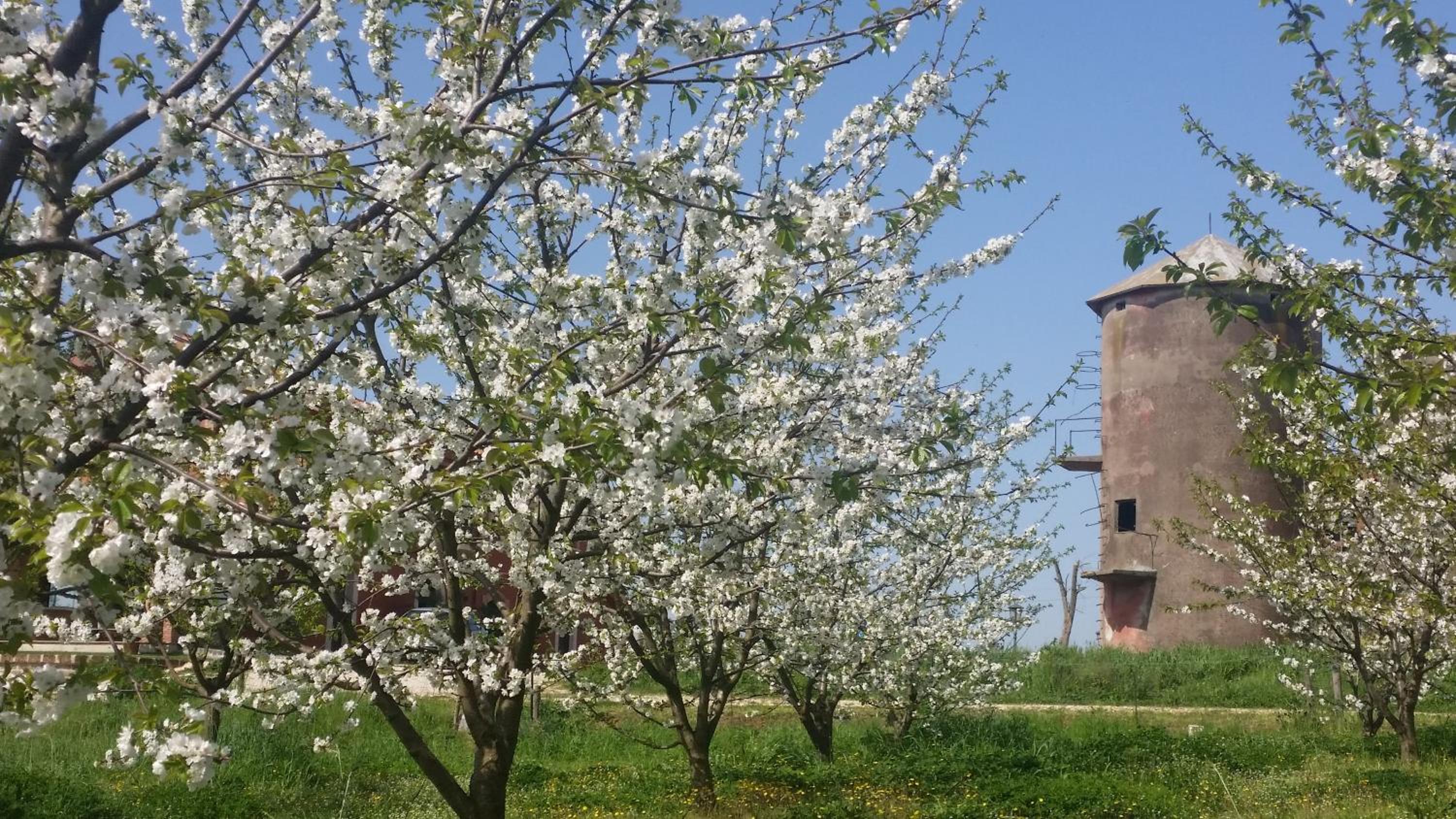 Tenuta Terre dei Latini
