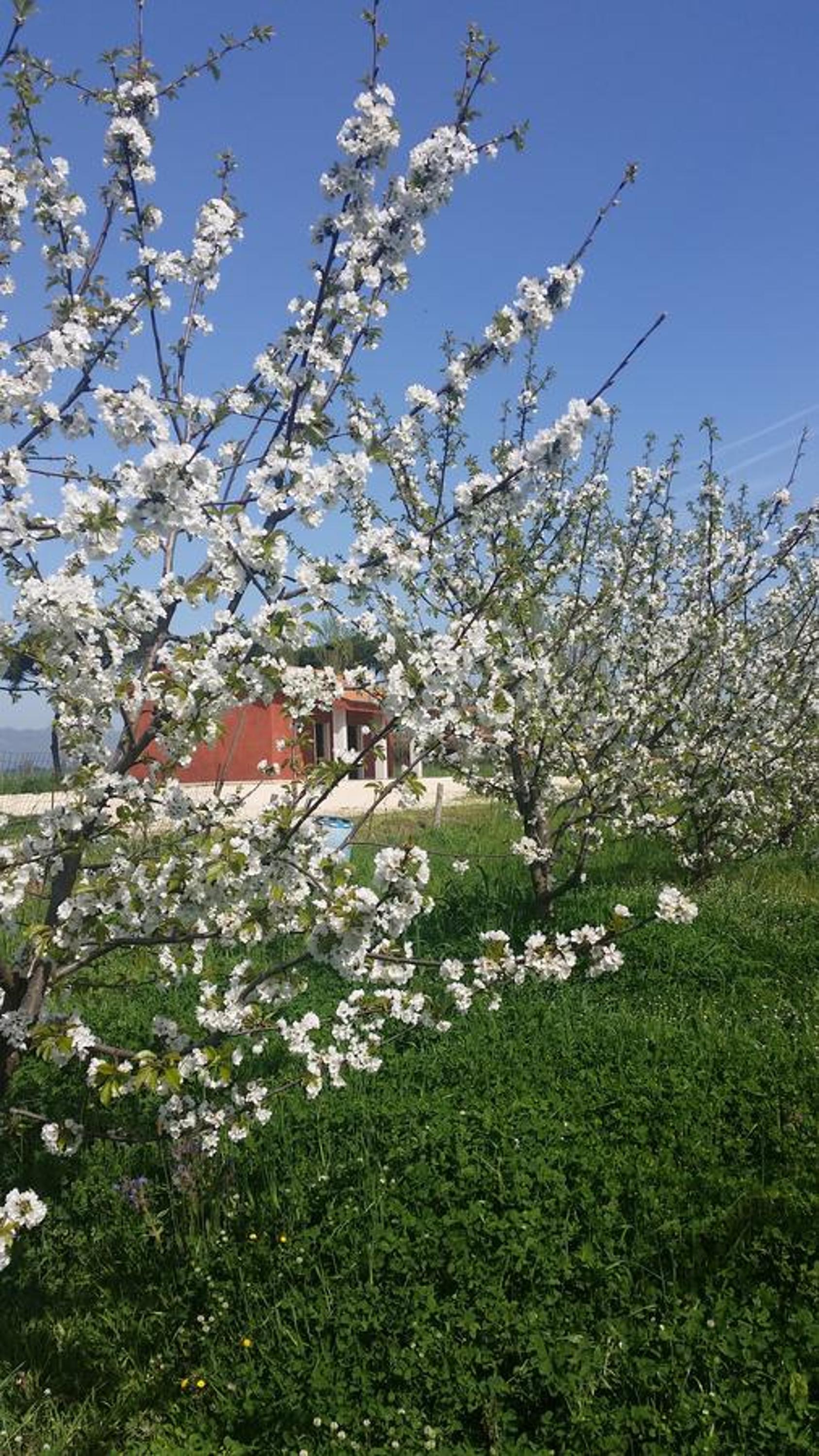 Tenuta Terre dei Latini