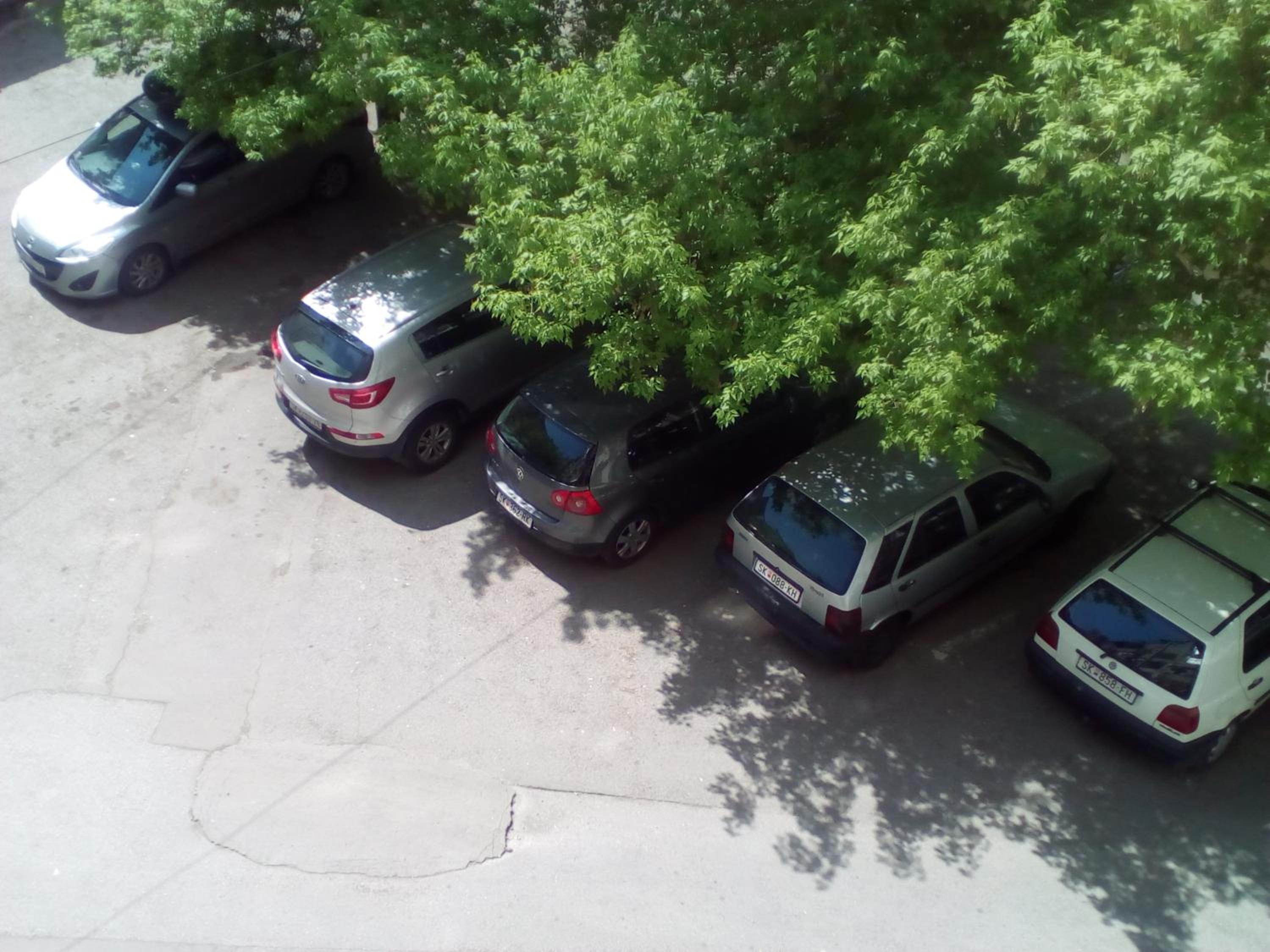 Photo 27
