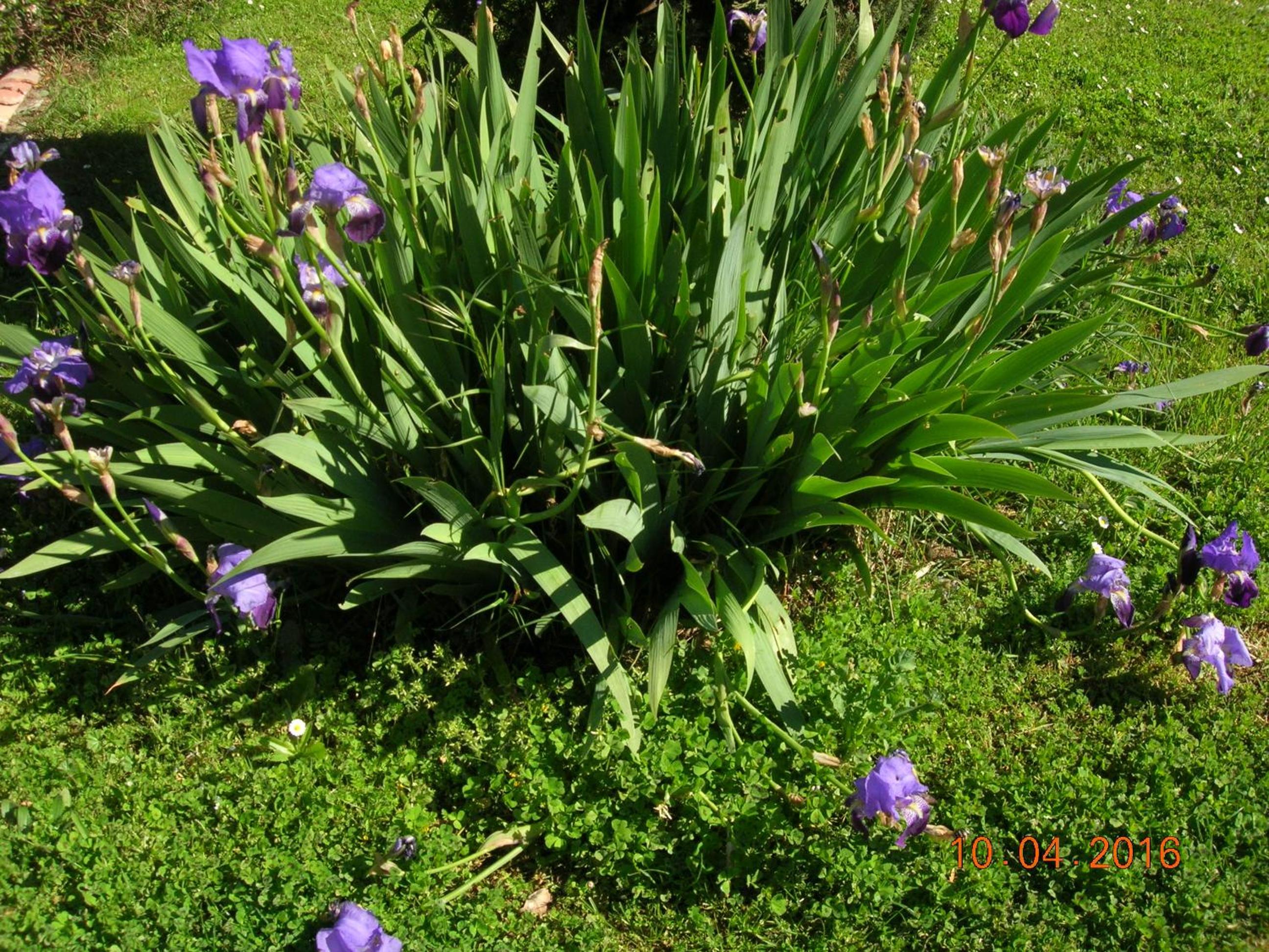 Photo 35