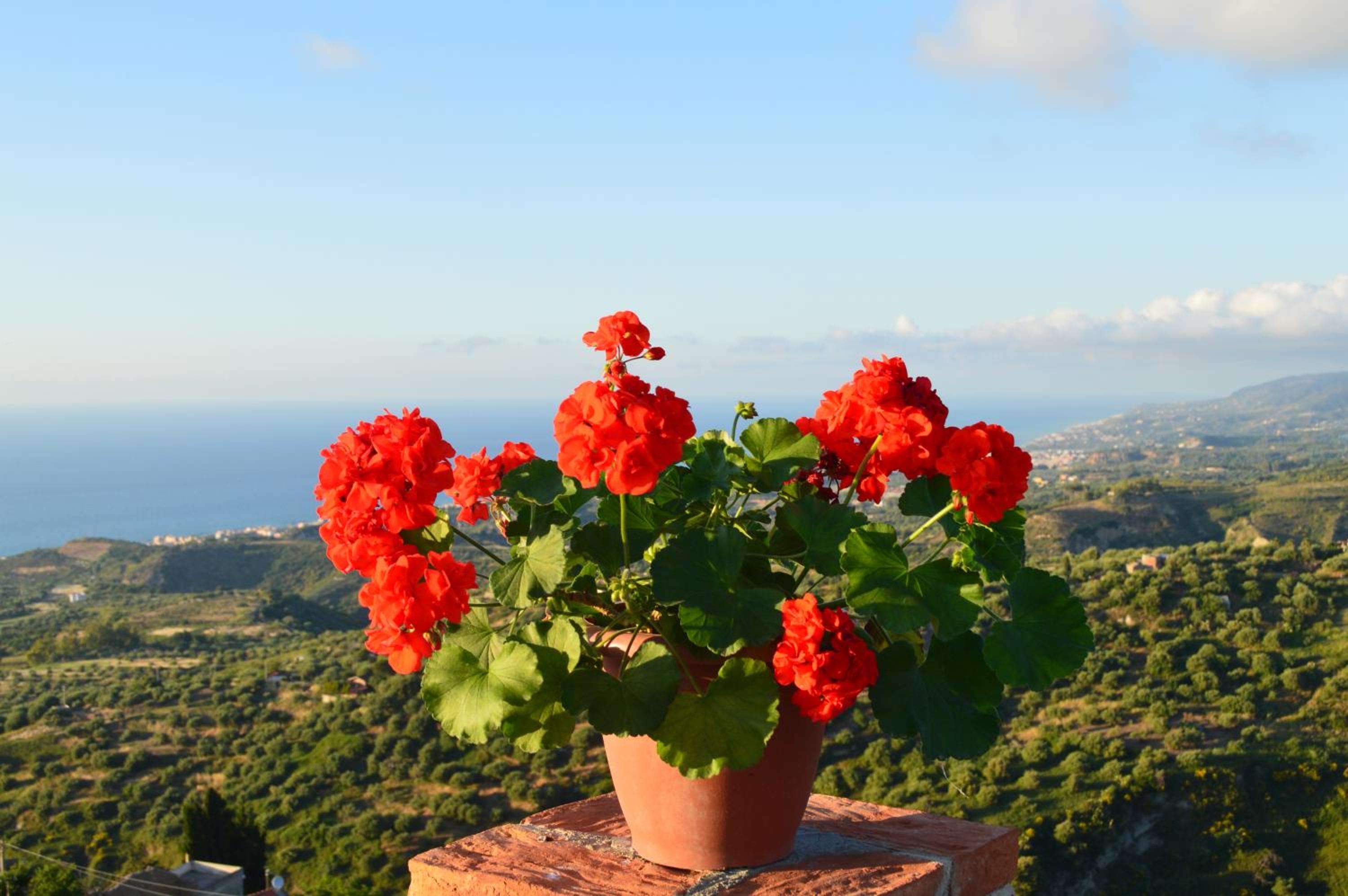 Villa Quiete