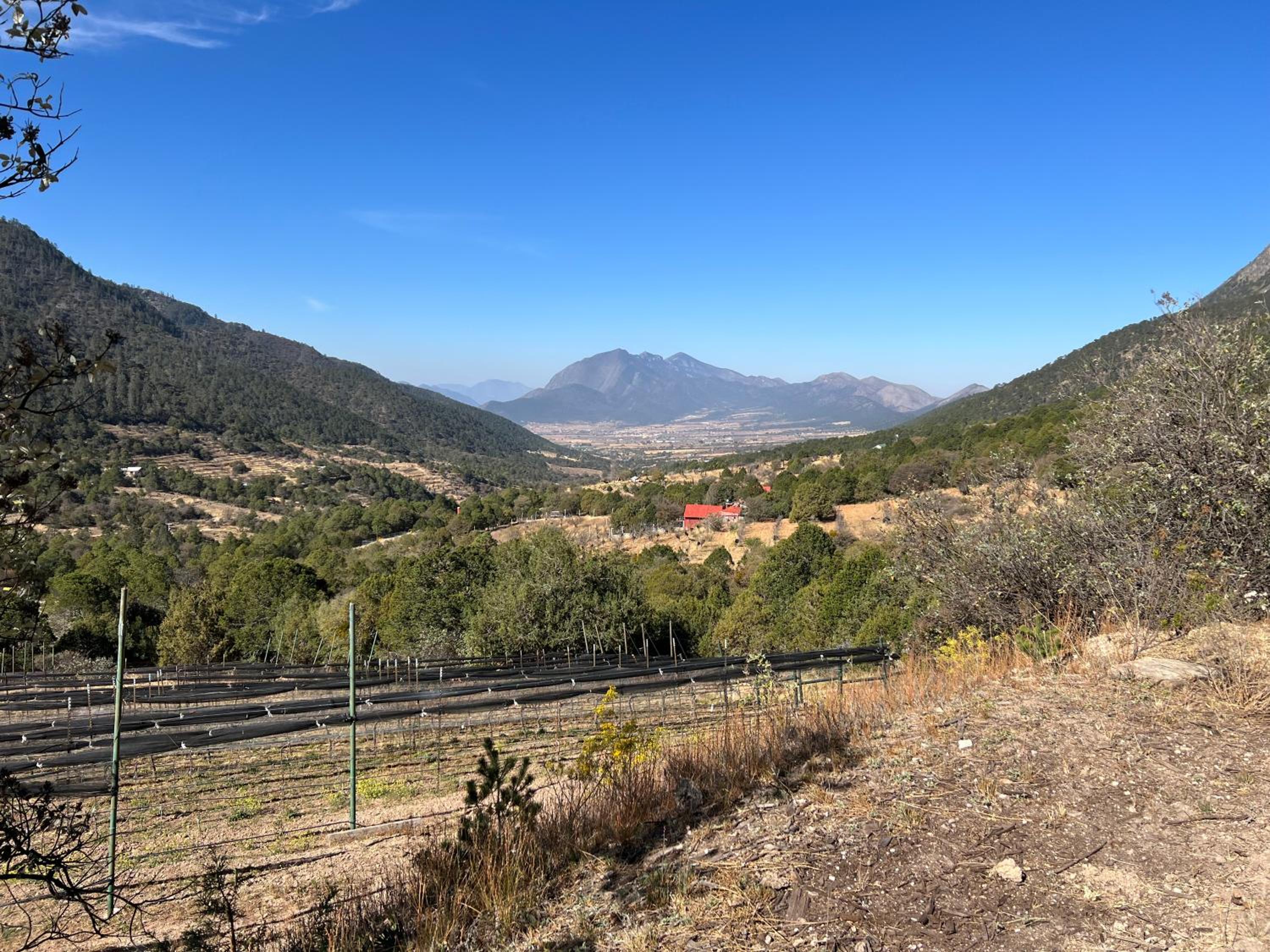 RV completamente equipado en viñedo