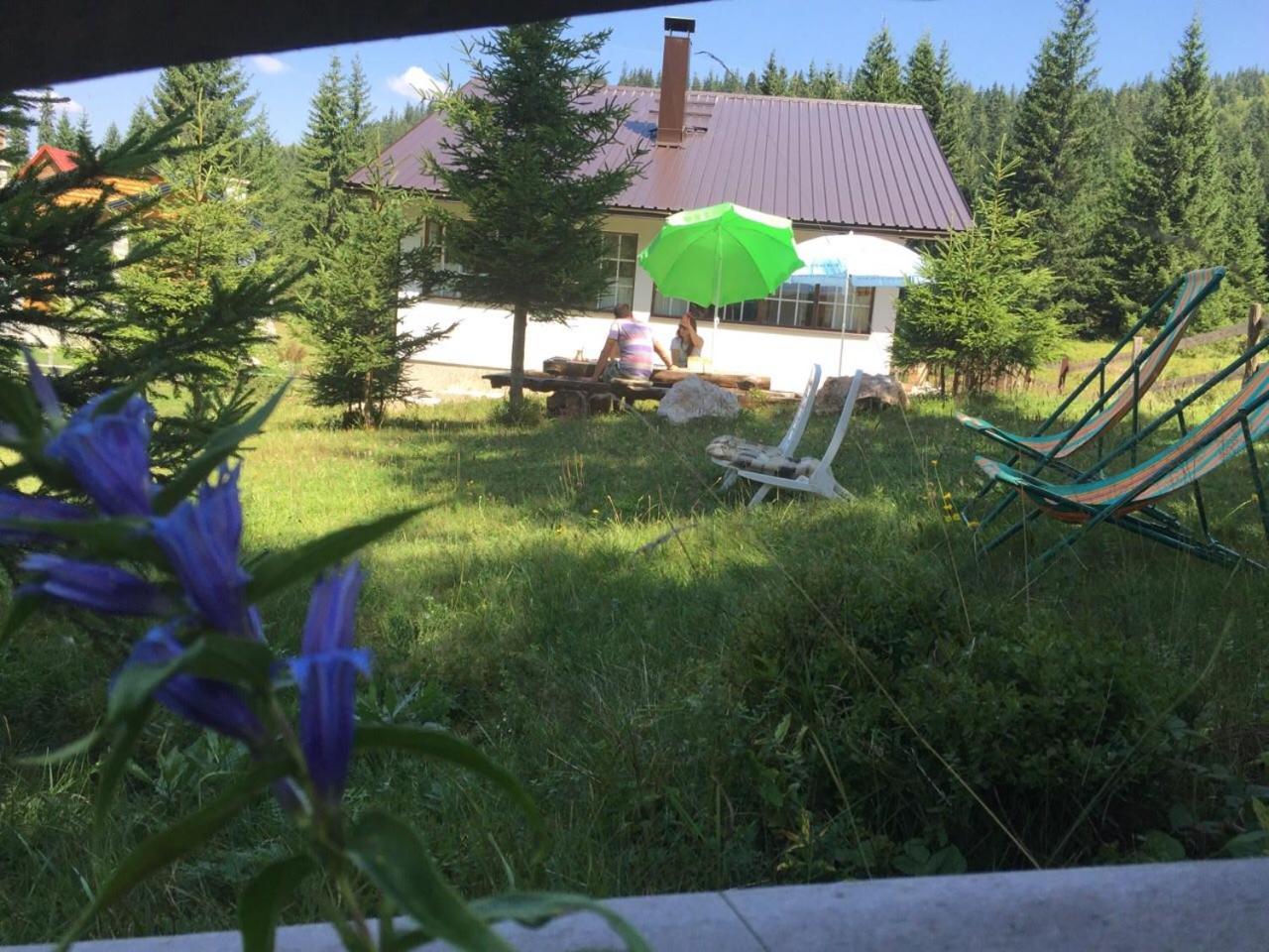 Photo 21
