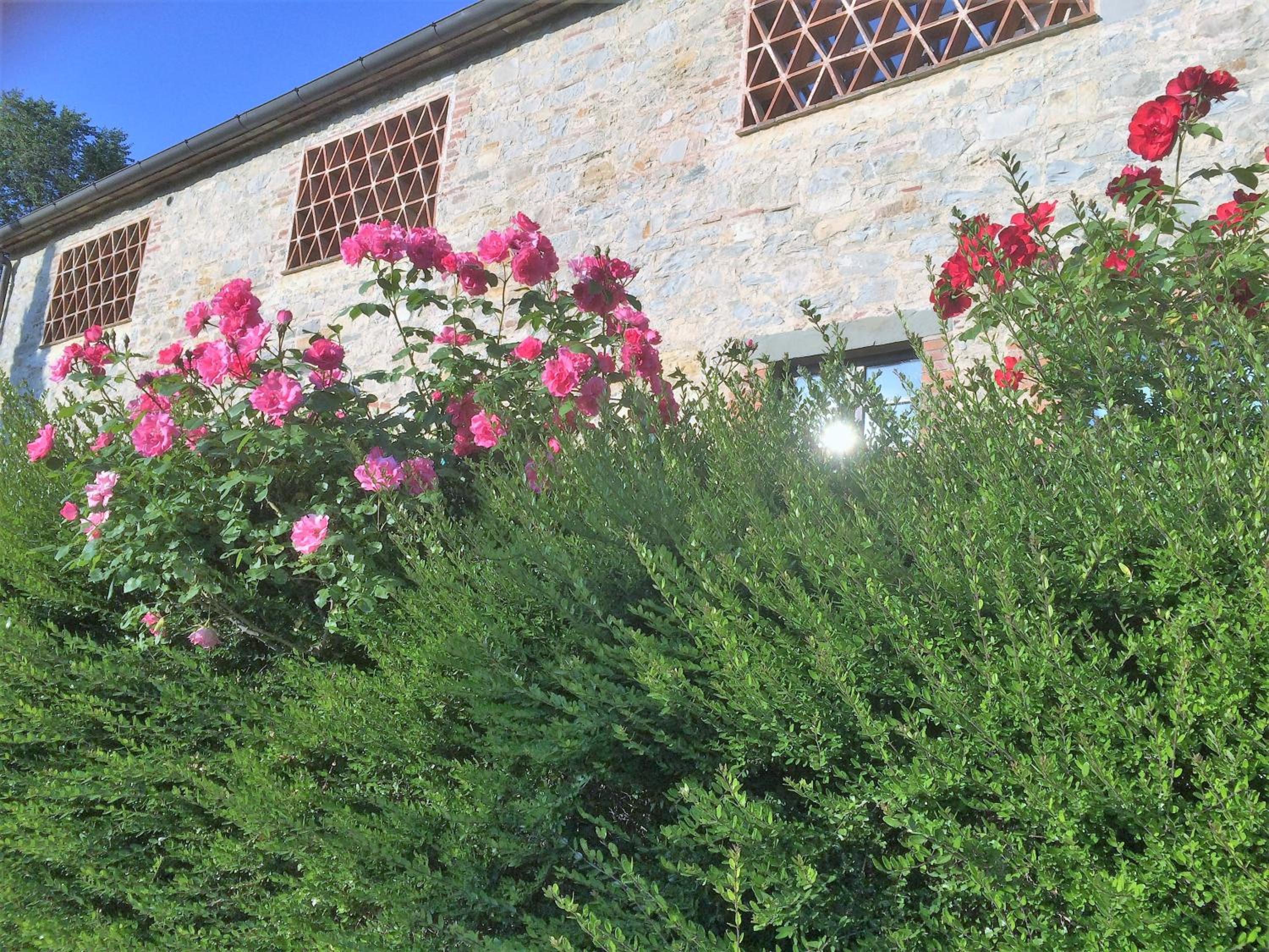 Residenzia Del Sogno