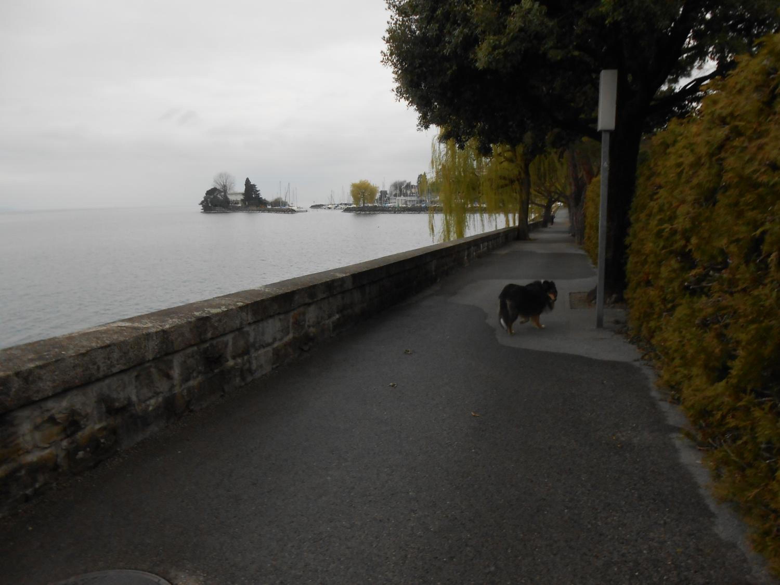 Photo 20
